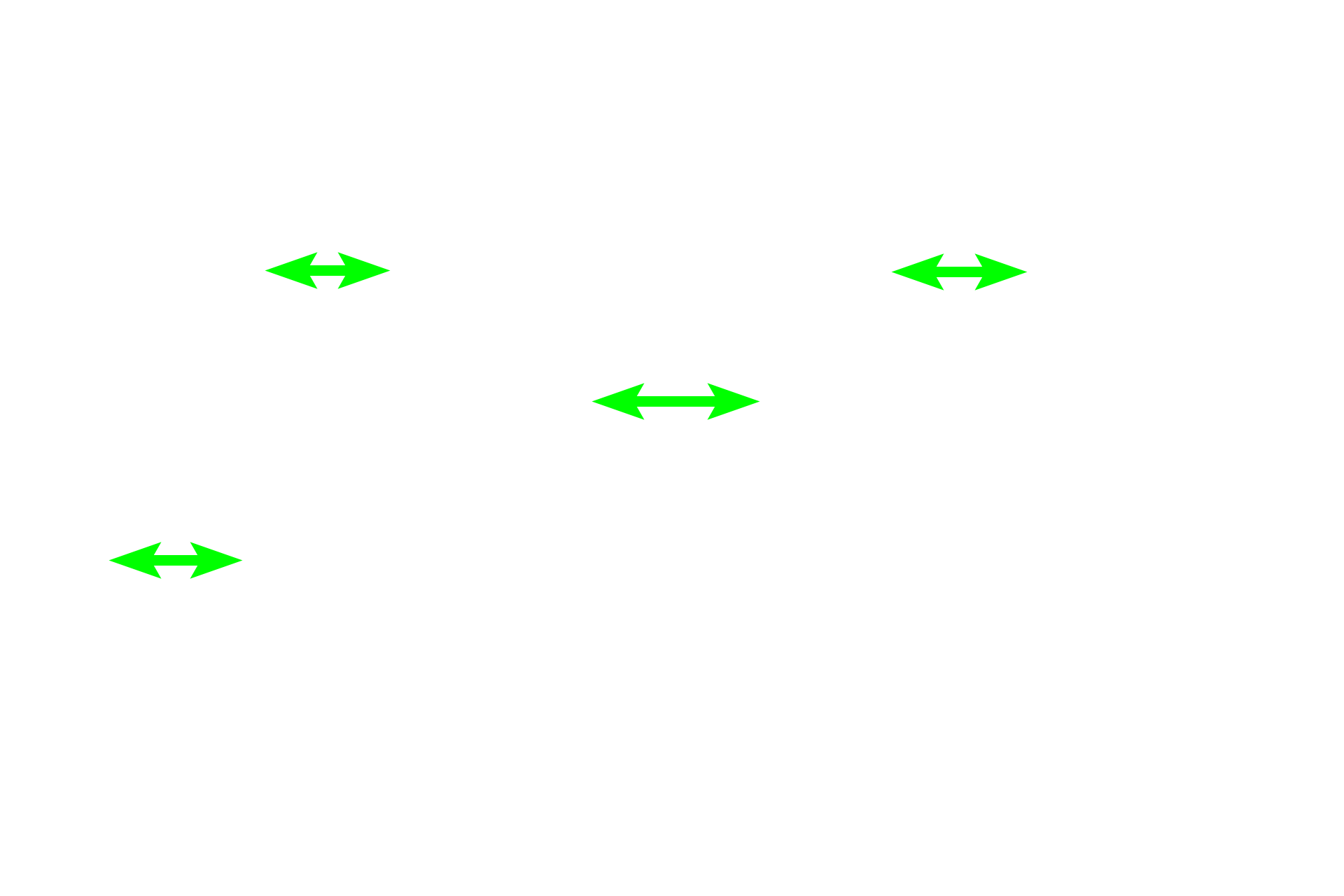 Duct of the epididymis <p>The body and tail of the epididymis are filled with the highly coiled duct of the epididymis.  Numerous sectioned profiles of the single duct are seen in this image.  The duct is lined by a very tall, regular, pseudostratified columnar epithelium with stereocilia, beneath which is layer of smooth muscle.  As the duct progresses from the head to the tail region, its epithelium decreases in height and the smooth muscle layer increases in thickness.  40x    </p>
