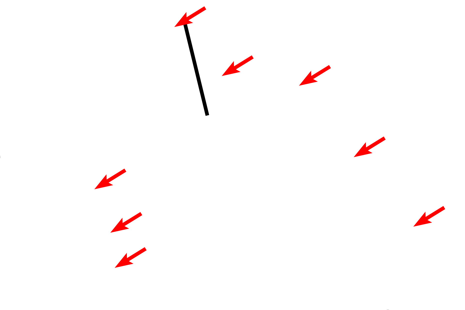 Duct of epididymis <p>Efferent ducts, located in the head region, are coiled into cone shapes called coni vasculosi.  Coni are surrounded by connective tissue and abundant blood vessels, hence their name. Efferent ducts anastomose to form the single duct of the epididymis found in all three subdivisions of the epididymis.</p>
