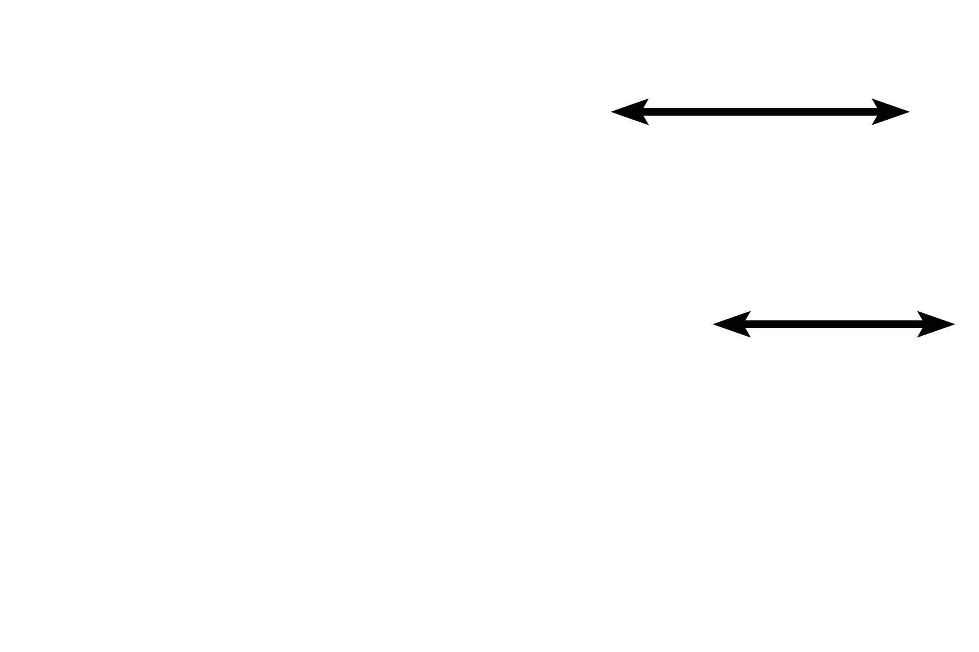 Seminiferous tubules <p>The testis lies anterior to the comma-shaped epididymis. Only a portion of the head of the epididymis is present in this image. 40x </p>
