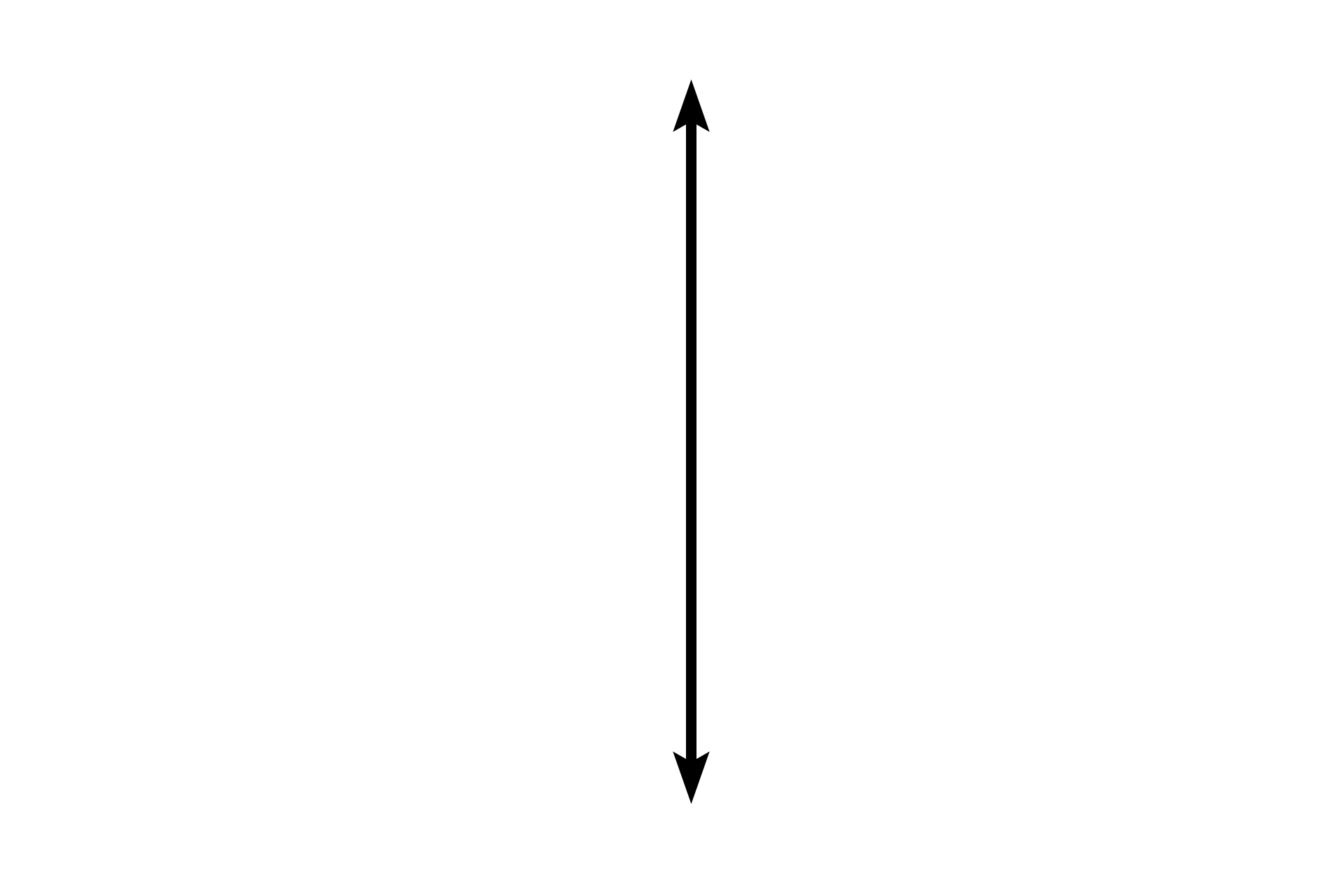 Efferent ductule <p>A higher magnification of an efferent duct shows its columnar epithelium, composed of tall and short cells, some with cilia and some with lysosomes. The variation in height imparts a scallopy border diagnostic for these tubules. The numerous lysosomes absorb and break down testicular fluid, while cilia help propel sperm through these tubules. 400x </p>
