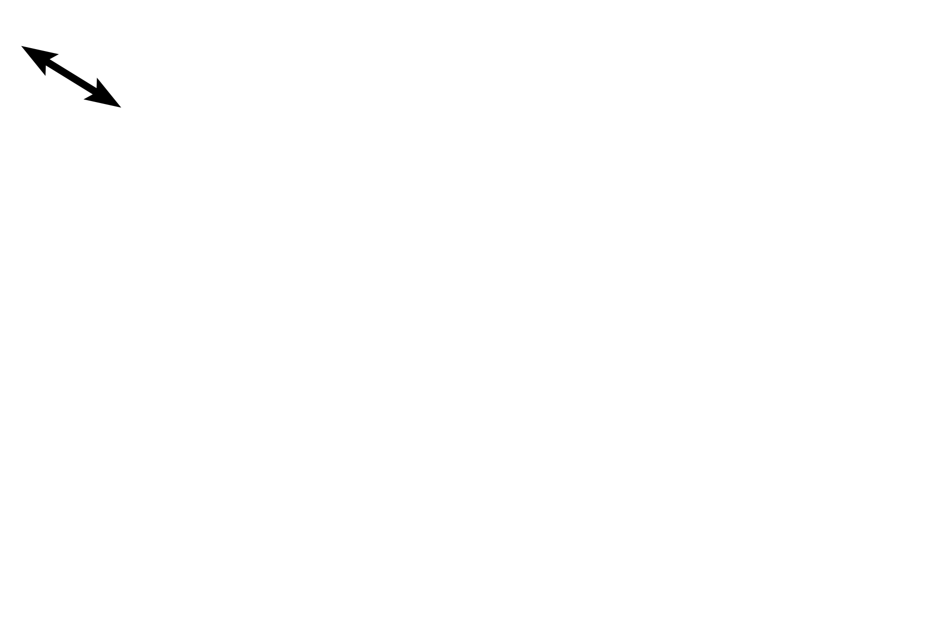 Tunica albuginea <p>At the posterior margin of the immature testis, the connective tissue forming tunica albuginea thickens and protrudes into the testis, forming the mediastinum. The mediastinum contains the rete testis, the beginning of the ducts that transport sperm out of the testis. A tunica vaginalis is lacking posteriorly because the testis develops as a retroperitoneal structure.  Immature testis, 100x</p>
