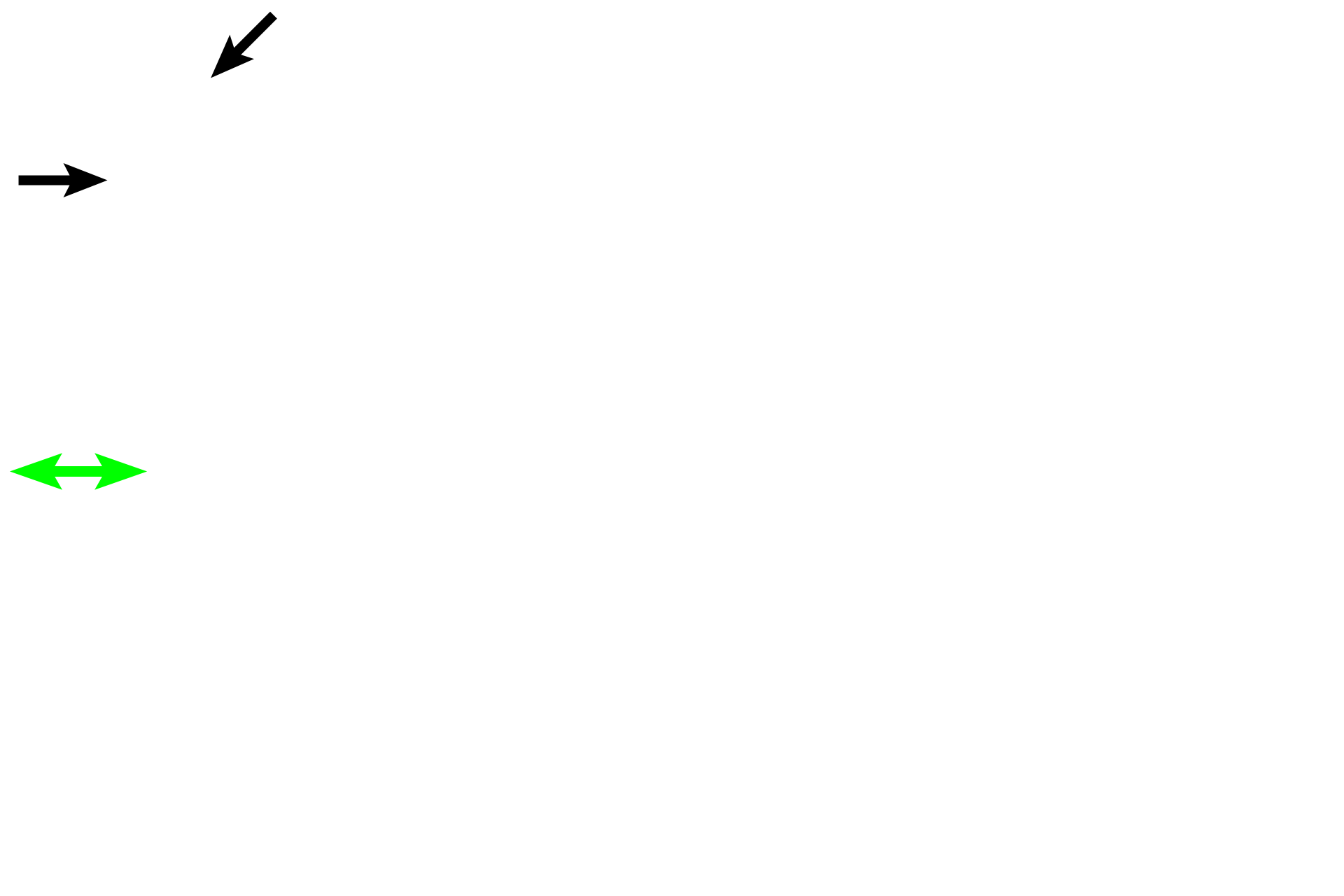 Tunica albuginea <p>Sperm pass from the seminiferous tubules into the rete testis, an interconnected system of channels located in the mediastinum.  The rete, in turn, connect with about 20 efferent ductules, transporting sperm out of the testis and terminating at the duct of the epididymis in the head of the epididymis.  40x</p>
