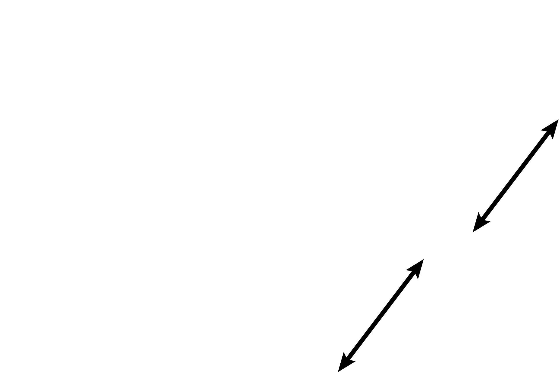 Mediastinum <p>Changes in epithelium help to differentiate the intratesticular passages in the testis as seen in this transition region from convoluted portions of the seminiferous tubule to the rete testis. Stratified germinal epithelium lines the convoluted portion of the seminiferous tubules; simple columnar epithelium (modified Sertoli cells) lines the short straight portions of the seminiferous tubules; and simple cuboidal epithelium lines the rete testis. 400x</p>
