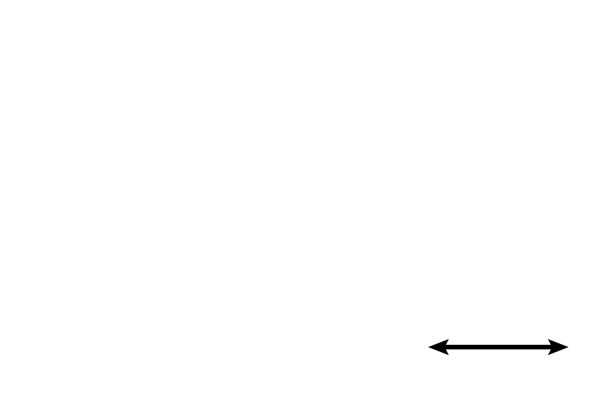 Endocardium > <p>The endocardium forms the inner layer of the heart and consists of an epithelium (endothelium), subendothelial connective tissue and a subendocardial layer.  Purkinje fibers are located in the subendocardial layer.</p>
