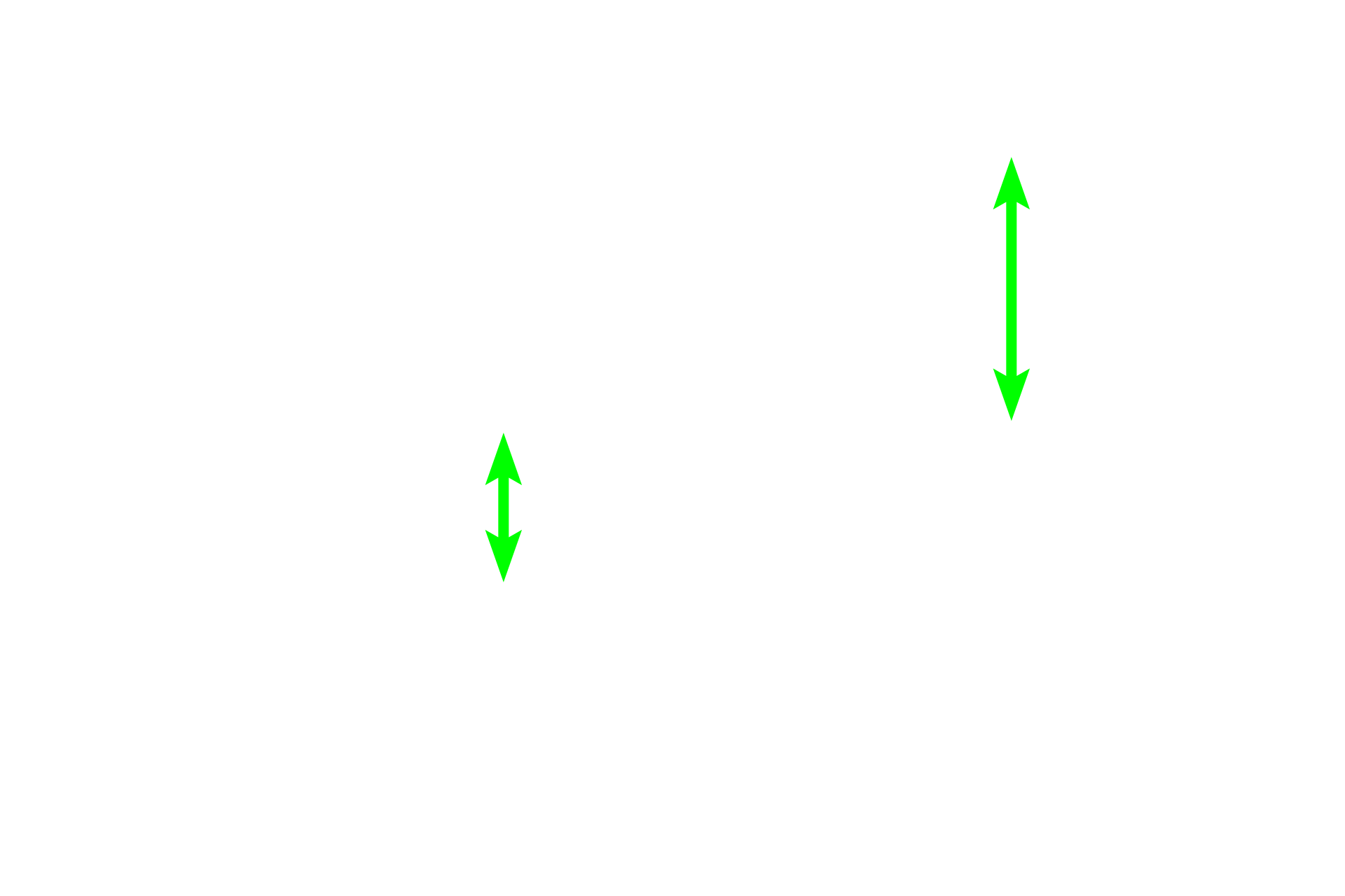 Spermatozoa > <p>Spermatozoa entering the epididymis are immature. While stored in the epididymis, they mature, acquiring motility and the ability to fertilize an ovum. </p>
