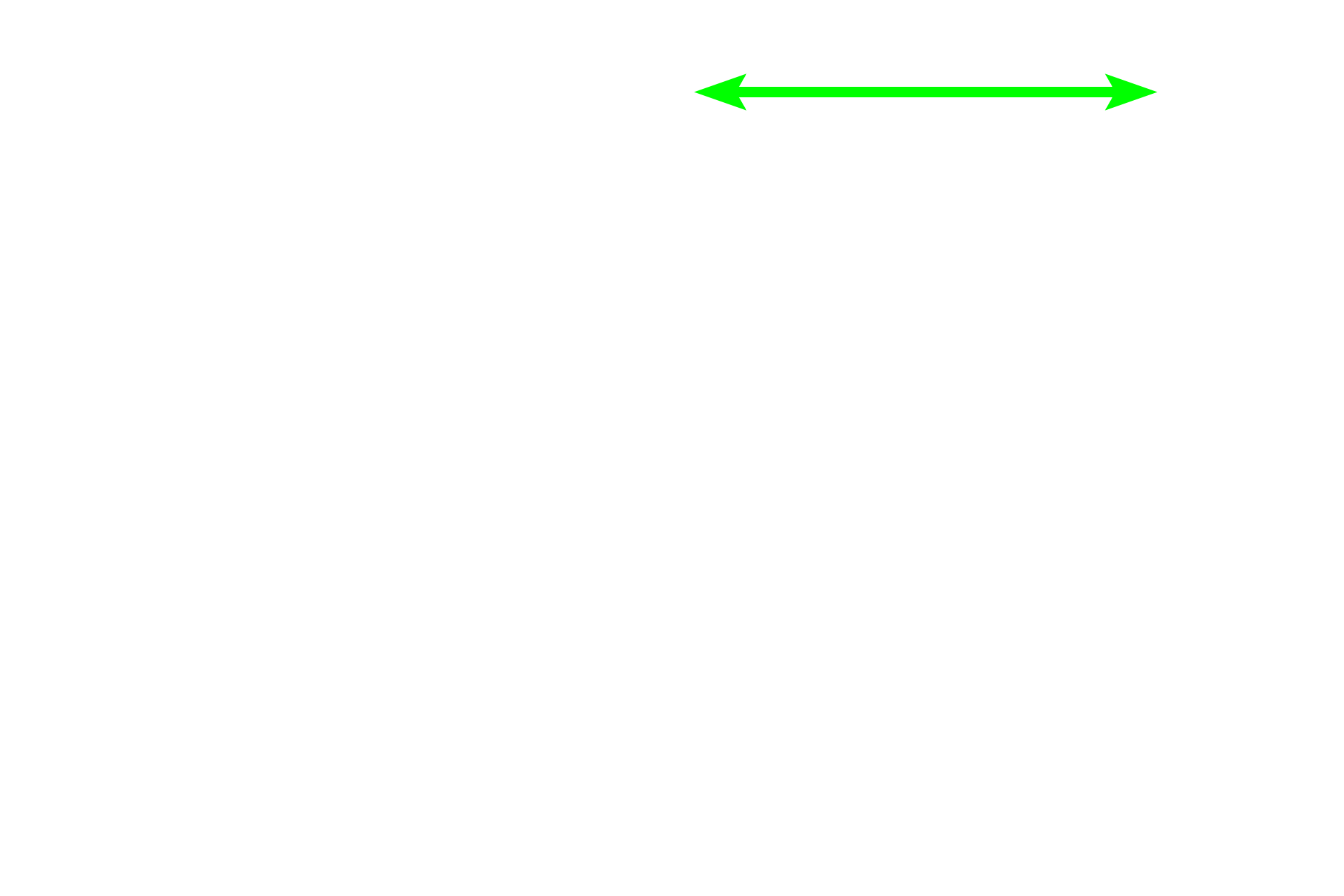 Spermatozoa > <p>Spermatozoa entering the epididymis are immature. While stored in the epididymis, they mature, acquiring motility and the ability to fertilize an ovum. </p>
