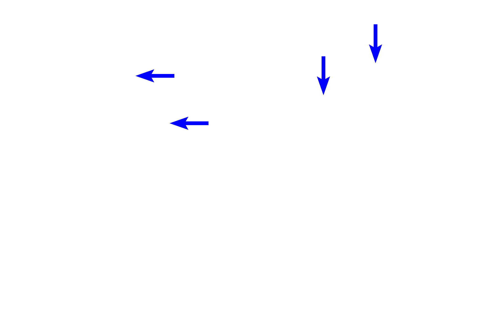 Dental lamina >  <p>The dental lamina connects the developing tooth germ with the oral ectoderm.</p>
