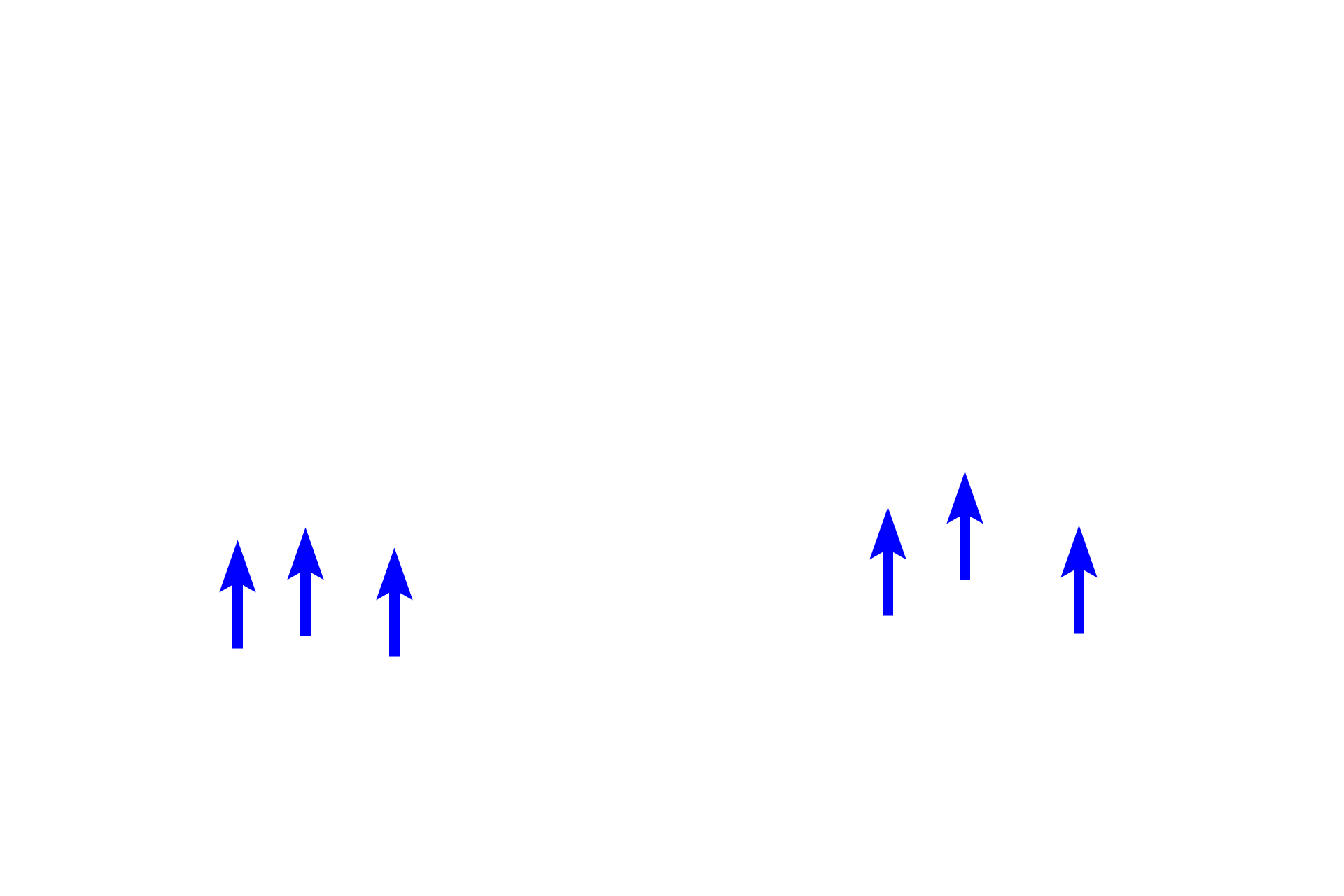  - Inner enamel epithelium >  <p>The inner enamel epithelium forms the concave portion of the enamel organ.  It consist of columnar cells that differentiate into enamel-forming ameloblasts. </p>
