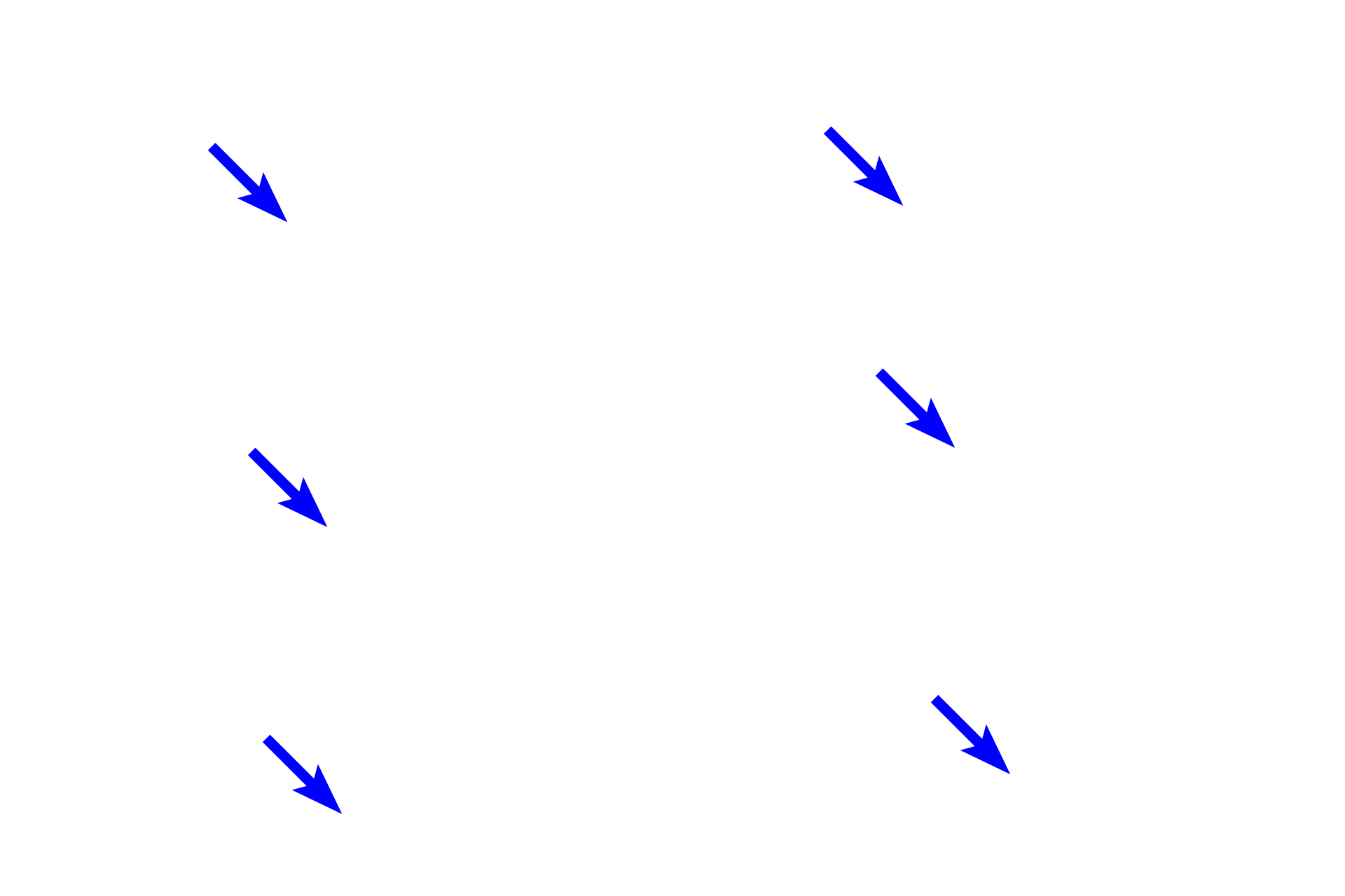  - Fiber groups >  <p>The collagen fibers of the periodontal ligament secure the cementum of the tooth root to the alveolar bone of the alveolus.  They also connect the alveolar bone and the cementum to the gingiva at the cervix of the tooth.   </p>
