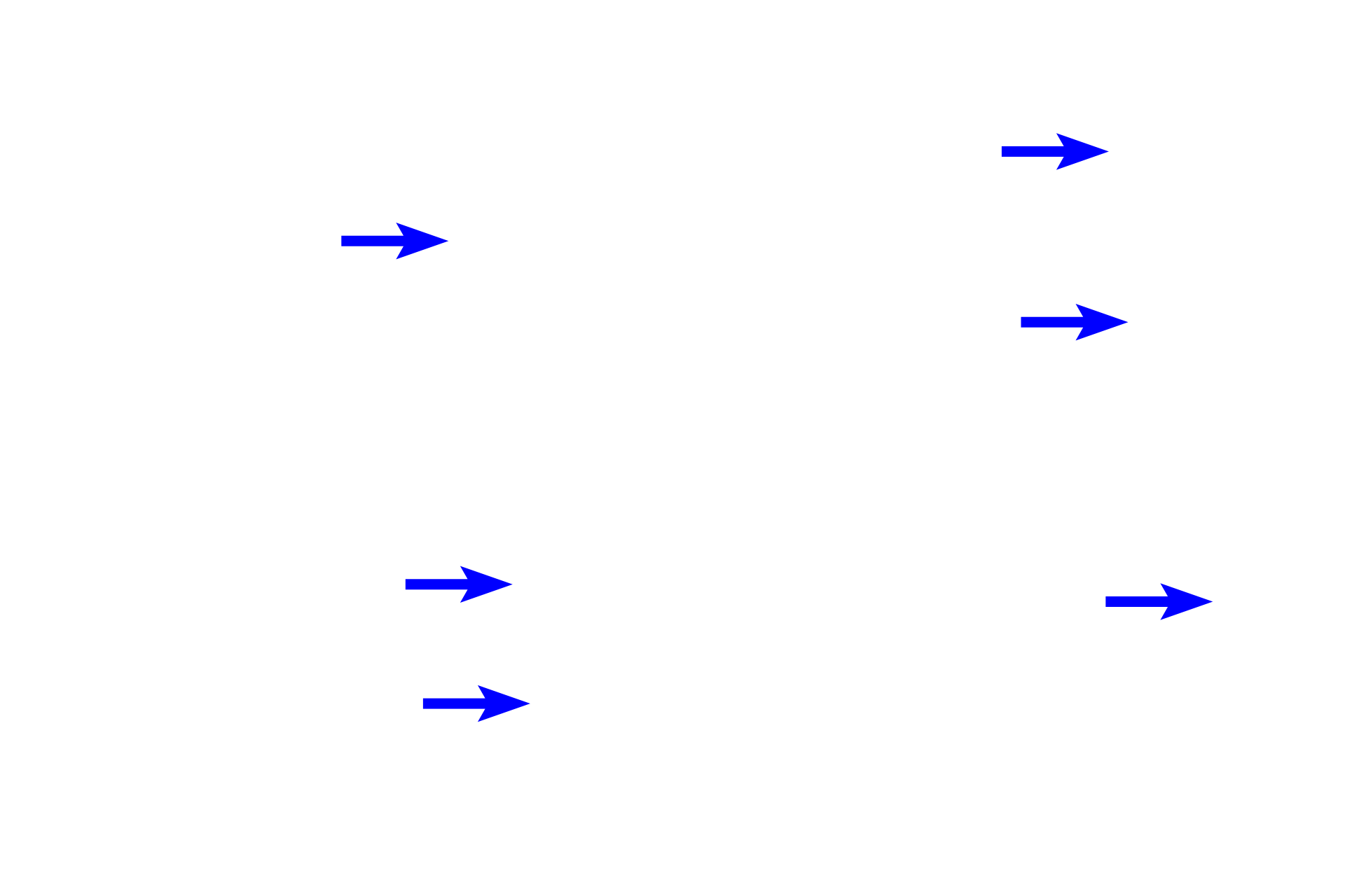  - Resting lines >  <p>The daily deposition of cementum can be seen as vertical lines that are close together in acellular cementum and farther apart in cellular cementum. </p>
