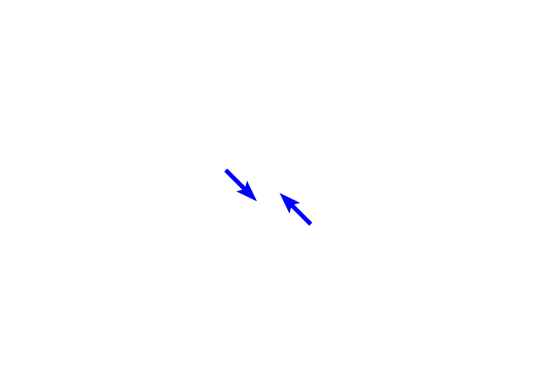  - Apical foramen <p>The region at the tip of each root is the apex and is penetrated by an apical foramen.  The foramen provides for passage of blood vessels and nerves into the pulp cavity. </p>
