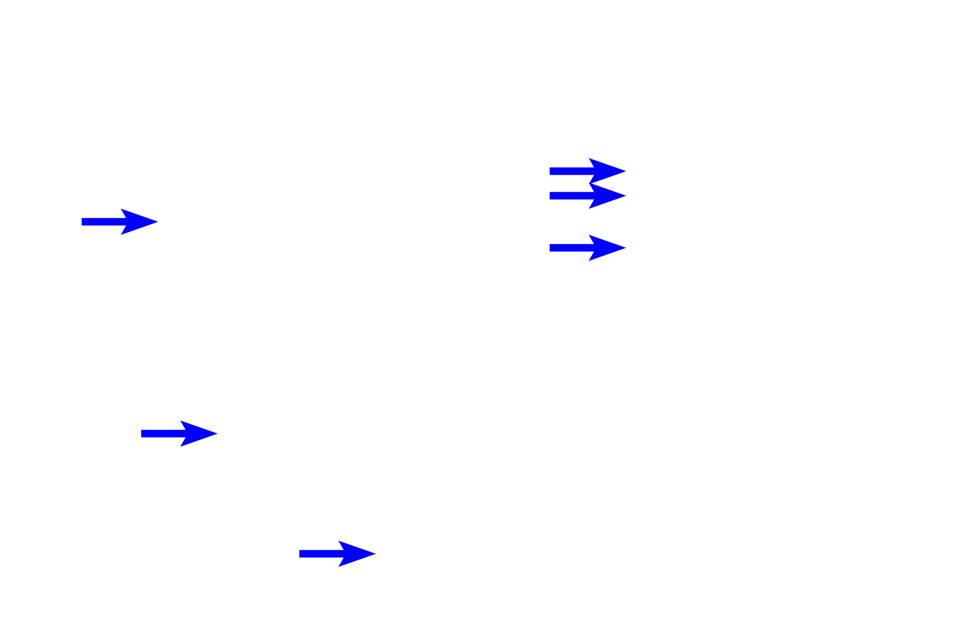 Apical principal fibers >  <p>The apical principal fibers of the periodontal ligament connect the cellular cementum at the apex of the tooth to the alveolar bone proper. </p>
