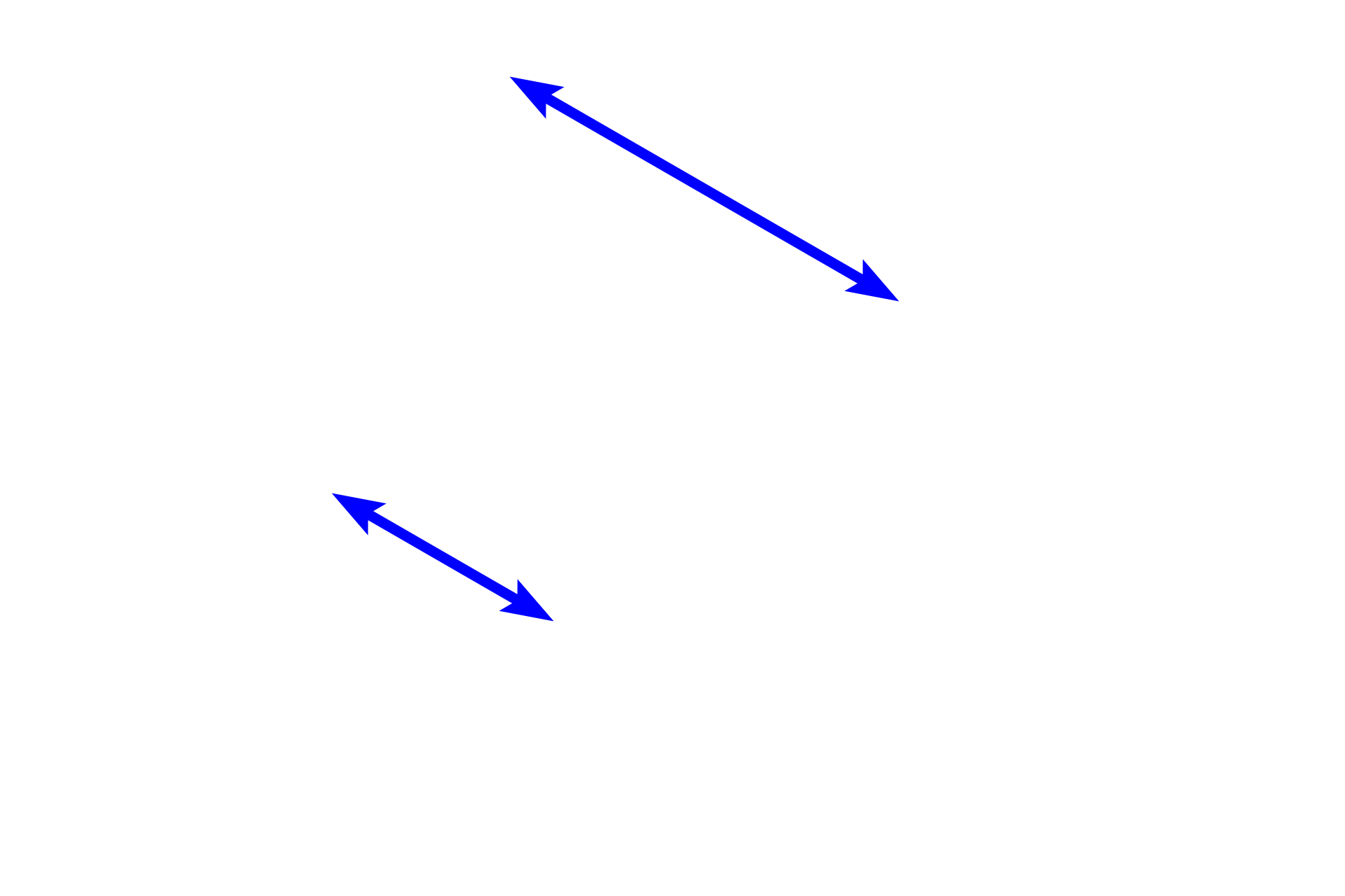 Gingiva  <p>The gingival fibers of the periodontal ligament connect the alveolar bone and the cementum of the tooth to the gingiva and to each other at the cervix (neck) of the tooth.  100x</p>
