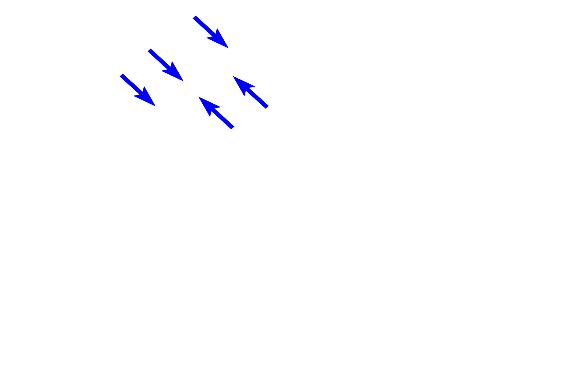  - Contour lines of Owen >  <p>The darker contour lines of Owen result from disruptions in the regular pattern of dentin formation in the crown of the tooth.  They indicate phases of hypomineralization resulting from metabolic disruptions during odontogenesis.</p>
