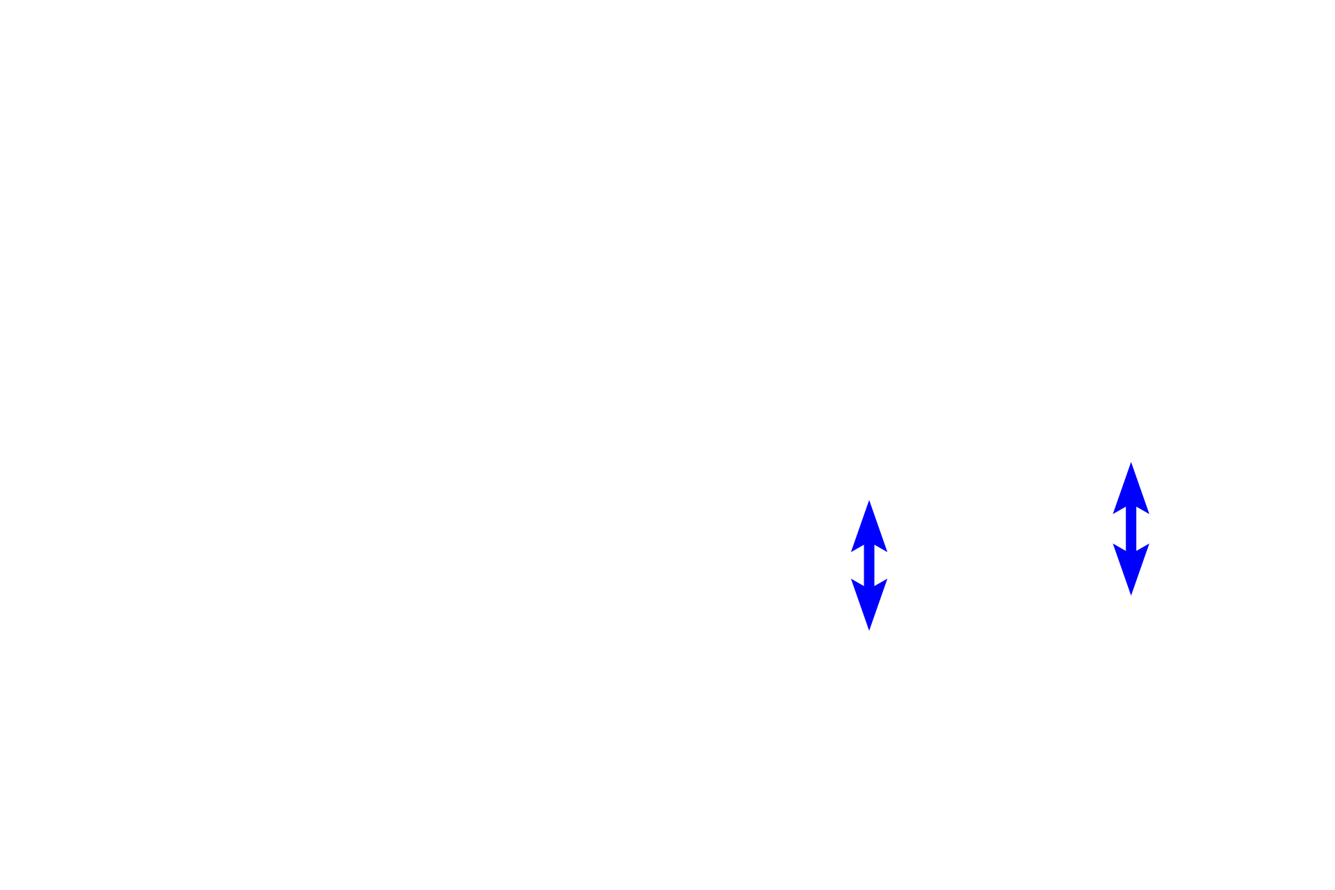 Cell rich zone >  <p>The cell rich zone contains ectomesenchymal stem cells capable of differentiating into dentin-producing odontoblasts in response to the loss of odontoblasts due to trauma or infection (reparative or tertiary dentin).  This layer also contains fibroblasts and nerve plexuses.</p>
