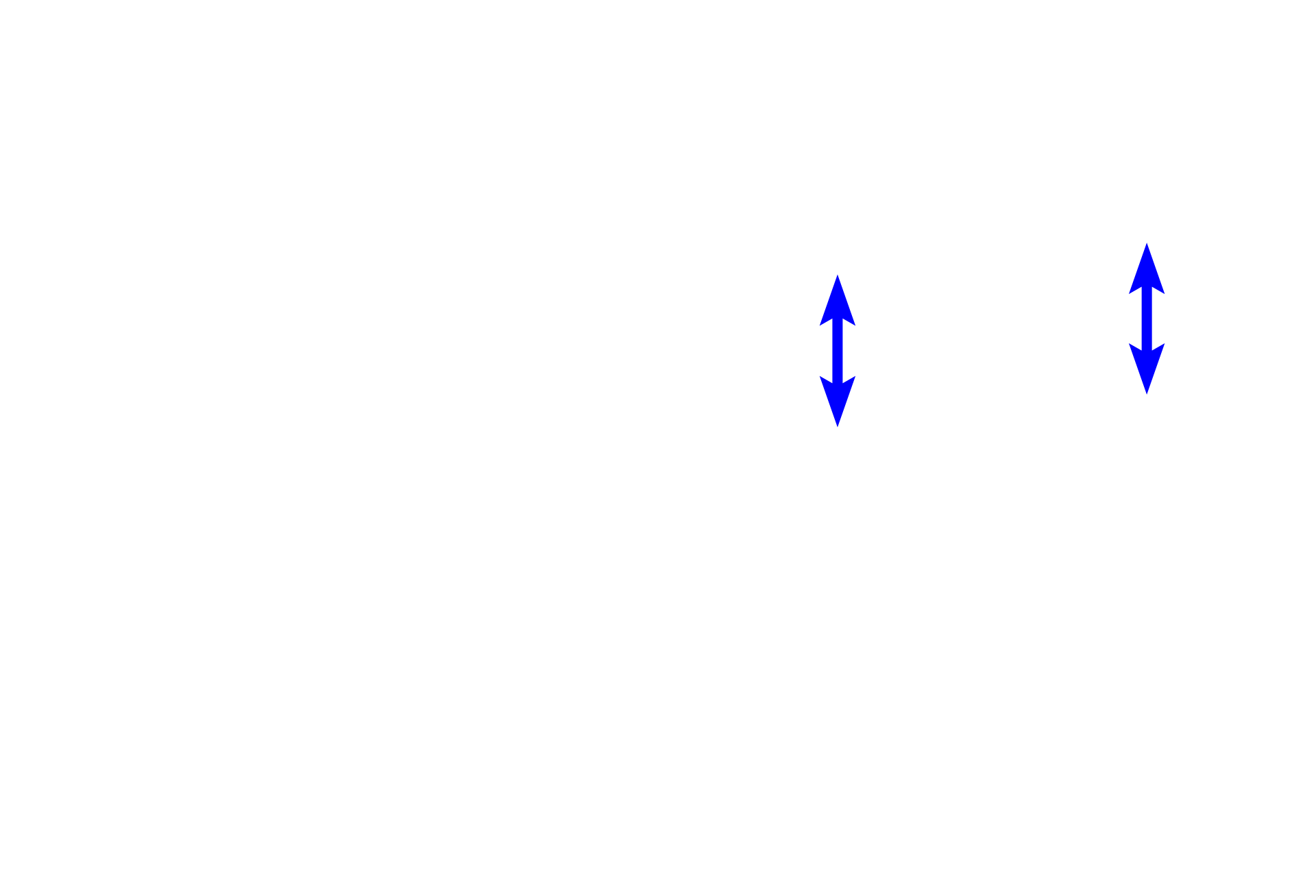  - Odontoblastic layer > <p>The odontoblastic layer contains odontoblasts, which secrete dentin. This layer also contains nerve fibers that accompany odontoblast processes as they extend into the dentinal tubules.  Additionally, this layer contains inflammatory cells to help protect against infection. </p>
