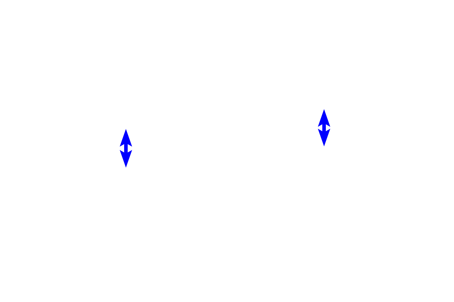  - Stellate reticulum >  <p>The stellate network supports the inner enamel epithelium and consists of star-shaped cells derived from the epithelium.  Their morphology results from secretion of glycosaminoglycans and the resultant attraction of the water into the enamel organ. </p>
