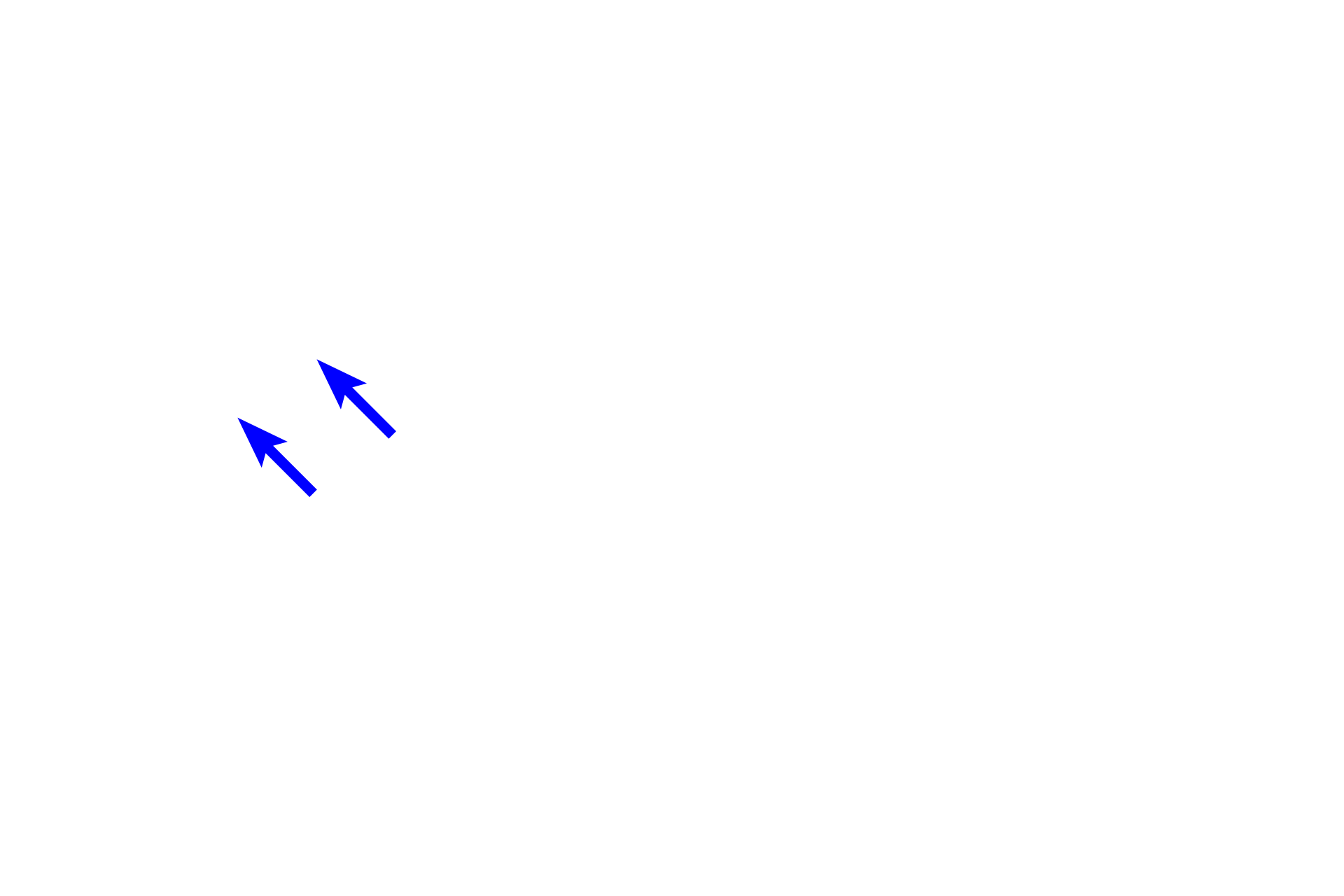 Vestibular lamina >  <p>The vestibular lamina is located in the lateral aspect of the primordial oral cavity.  It extends a furrow that develops into the vestibule of the oral cavity.</p>
