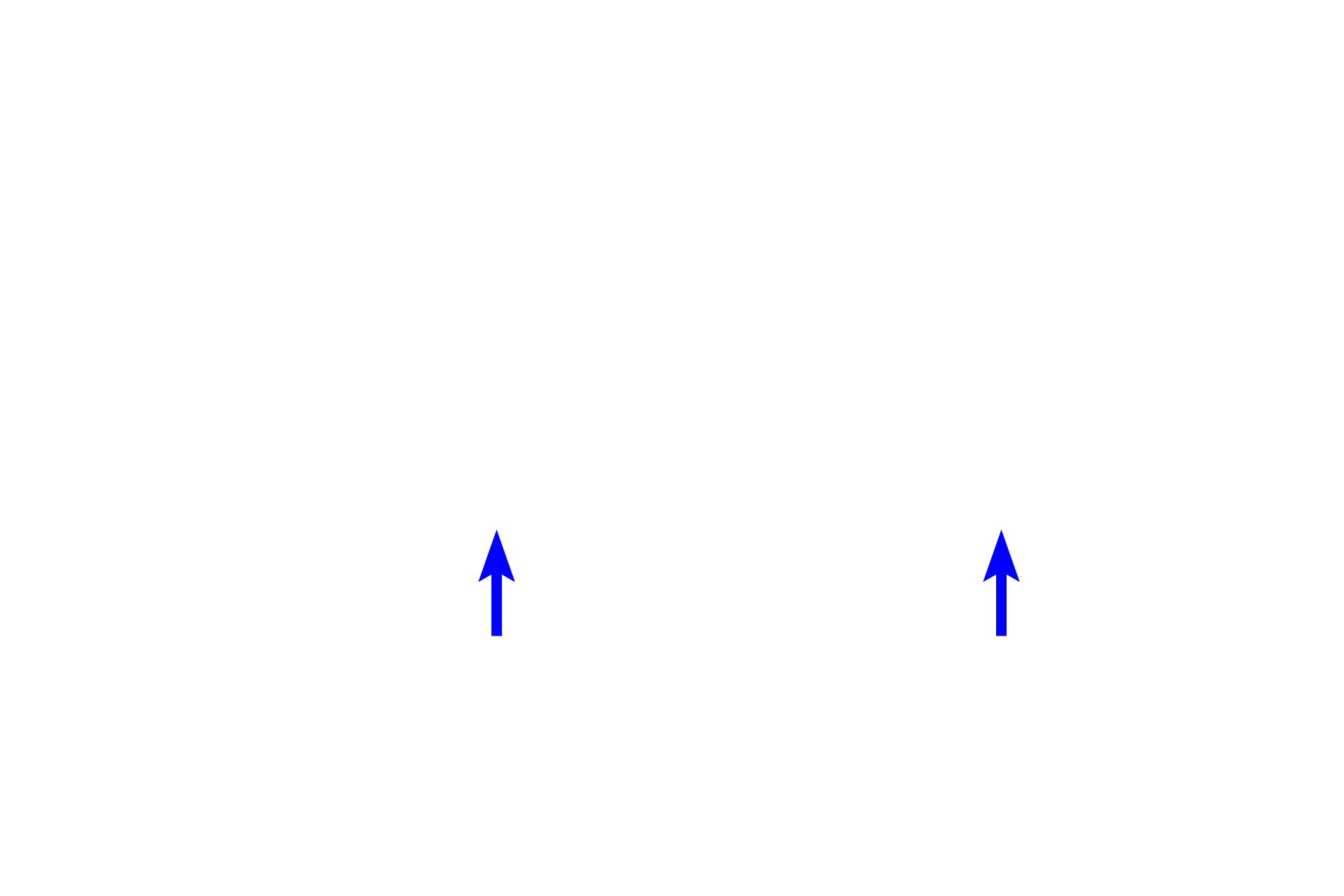  - Cervical loop >  <p>The location where the inner enamel epithelium and outer enamel epithelium meet is the cervical loop. This structure will elongate during tooth development to form the Hertwig’s epithelium root sheath. </p>
