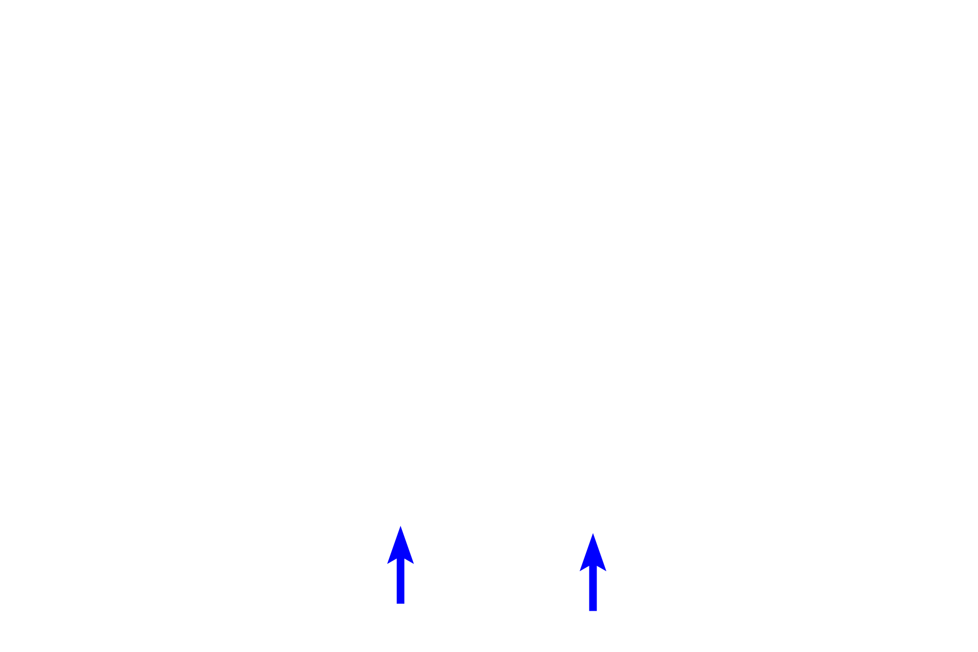  - Cervical loop >  <p>The location where the inner enamel epithelium/pre-ameloblasts and the outer enamel epithelium meet is called the cervical loop. This structure will elongate during root phase of tooth development to form the Hertwig’s epithelium root sheath. </p>
