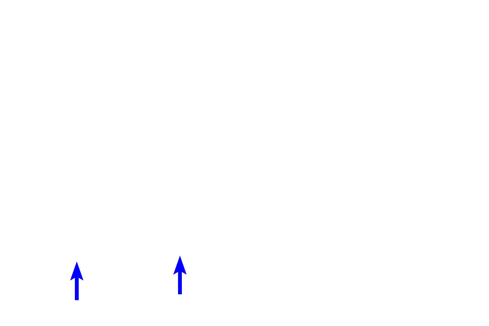  - Cervical loop >  <p>The location where the inner enamel epithelium/pre-ameloblasts and the outer enamel epithelium meet is called the cervical loop. This structure will elongate during the root phase of tooth development to form the Hertwig’s epithelium root sheath. </p>
