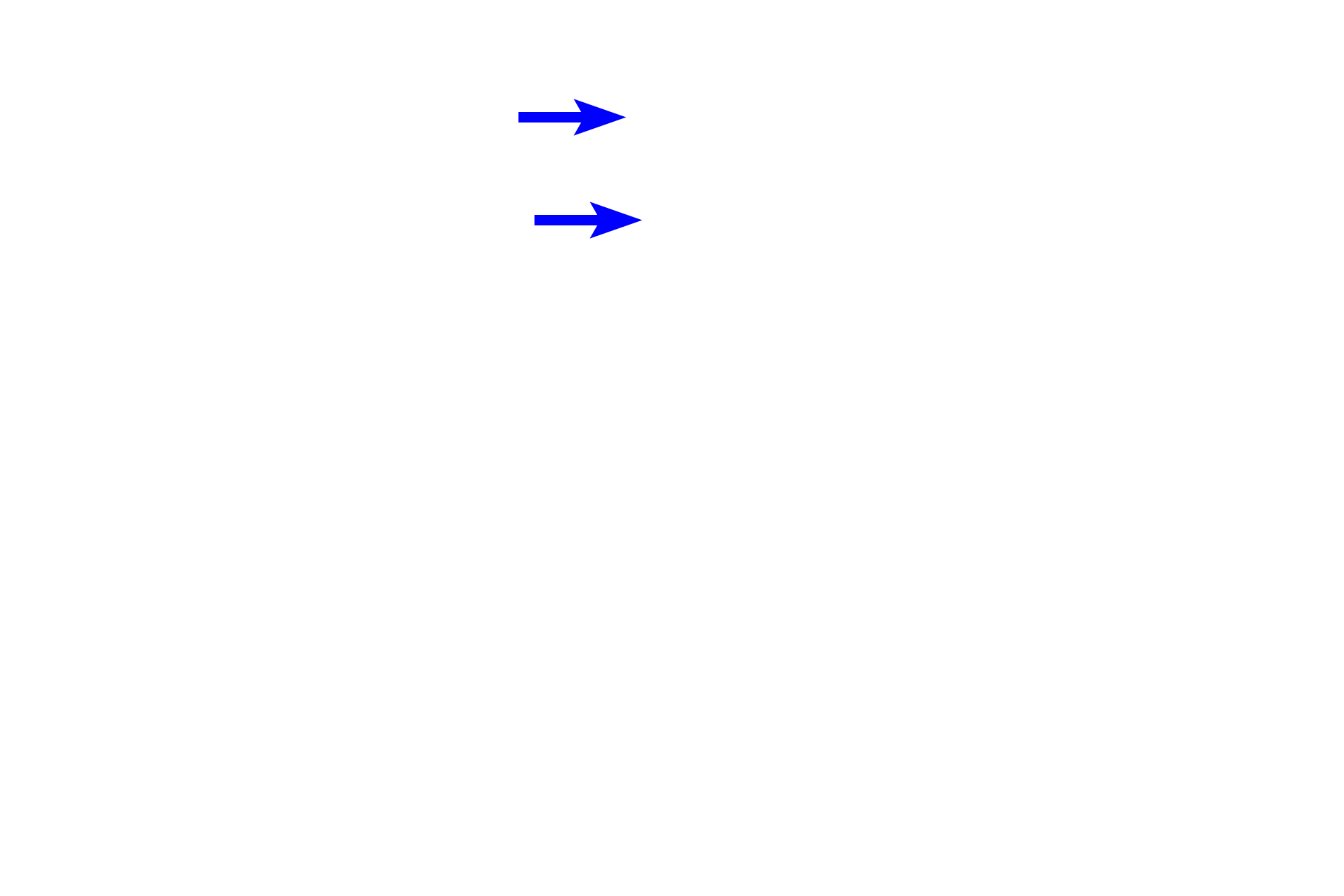 Dental lamina > <p>The dental lamina connects the developing tooth germ with the oral ectoderm.</p>
