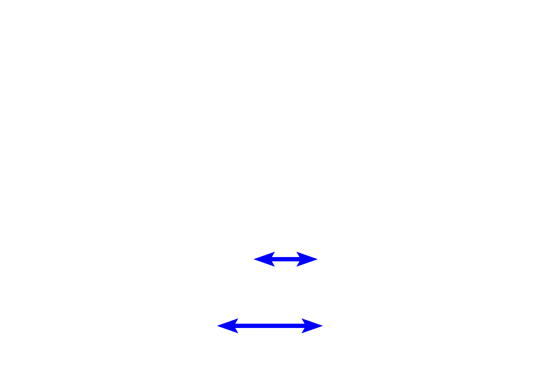 Dental papilla <p>During the bell stage of tooth development, the enamel organ grows into a bell shape.  Cytodifferentiation of the stem cells in the enamel organ and dental papilla is progressing and the dental lamina begins to degenerate.  This is also the stage when the morphology of the tooth is determined (morphodifferentiation).  The successional lamina is not visible in this section.</p>
