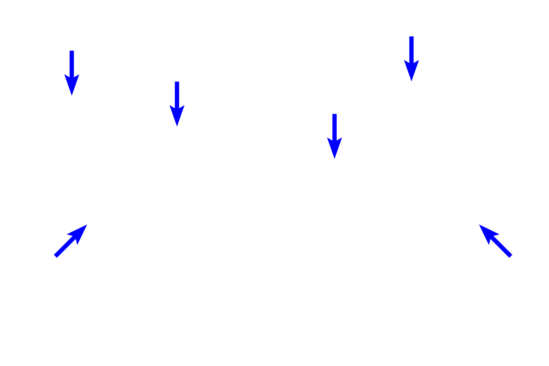 Ectoderm >  <p>The ectoderm of the dental lamina invaginates into the underlying ectomesenchyme forming a structure resembling a flower bud.</p>
