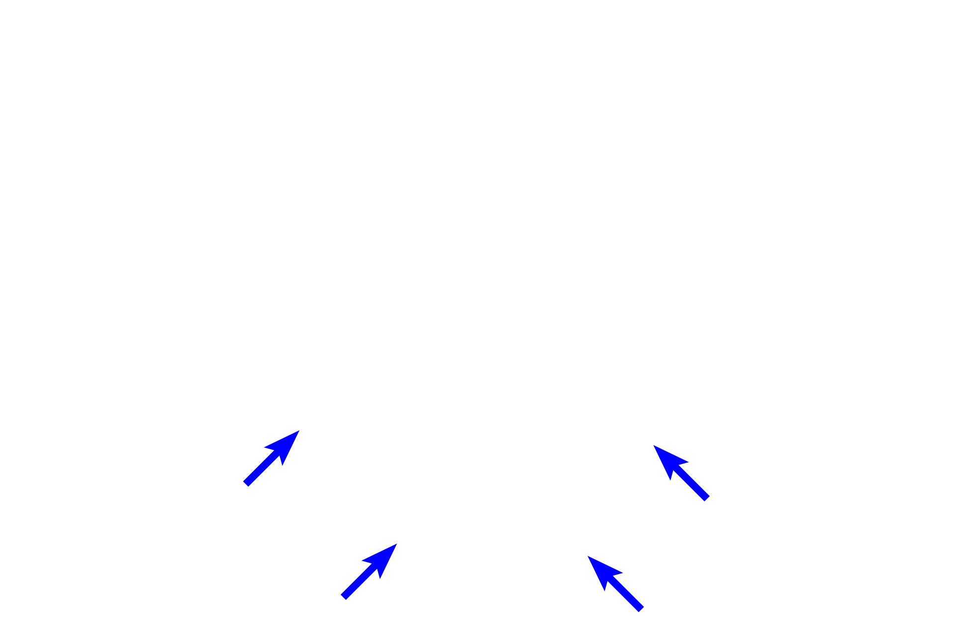 Dental follicle >  <p>The enamel organ is surrounded by the dental follicle (dental sac).  The follicle is formed by ectomesenchymal stem cells, eventually differentiating into cementoblasts that deposit cementum, fibroblasts that deposit collagen fibers of the periodontal ligament, and osteoblasts that deposit the alveolar bone. </p>
