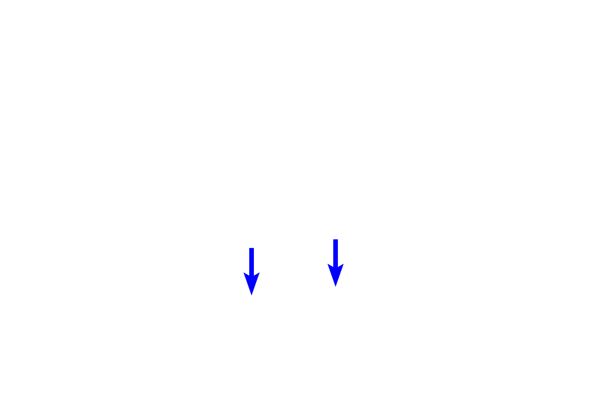  - Inner enamel epithelium > <p>The columnar ectodermal cells on the inner aspect of the enamel organ are the inner enamel epithelium. These cells will differentiate into ameloblasts that deposit enamel.</p>
