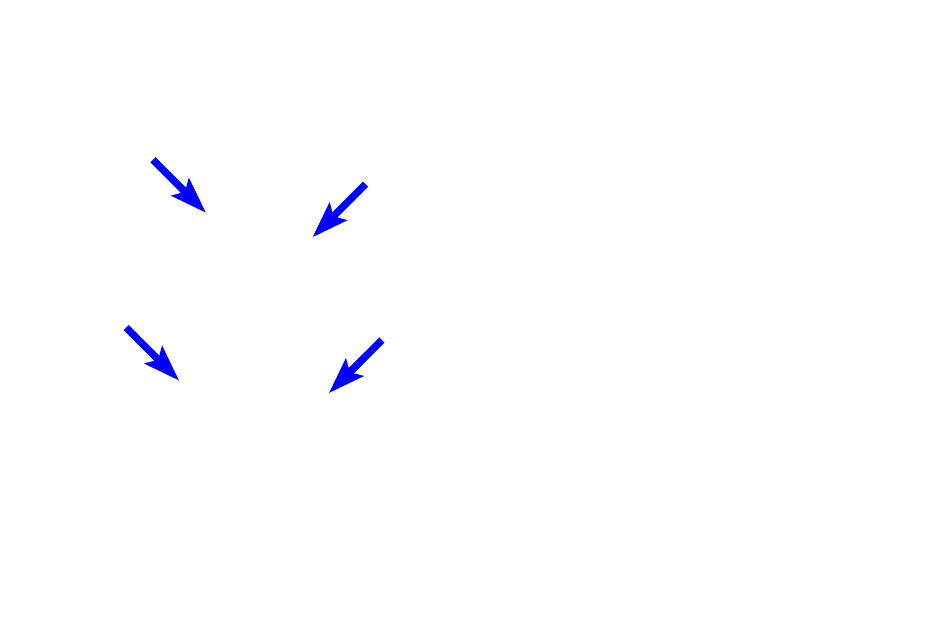  - Inner enamel epithelium <p>The inner enamel epithelium consists of columnar ectodermal cells that form the inner surface of the enamel organ in close proximity to the ectomesenchymal cells of the papilla.  The cells differentiate into ameloblasts that secrete enamel.</p>
