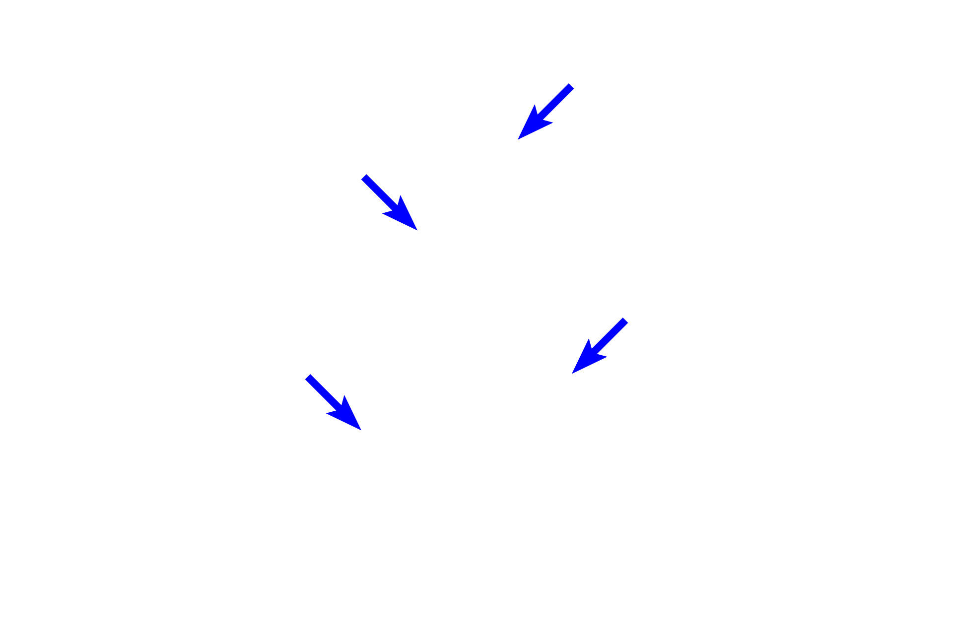  - Inner enamel epithelium > <p>Late in the bell stage the cells of the inner enamel epithelium differentiate into columnar pre-ameloblasts, that later fully differentiate into ameloblasts that deposit enamel.  </p>
