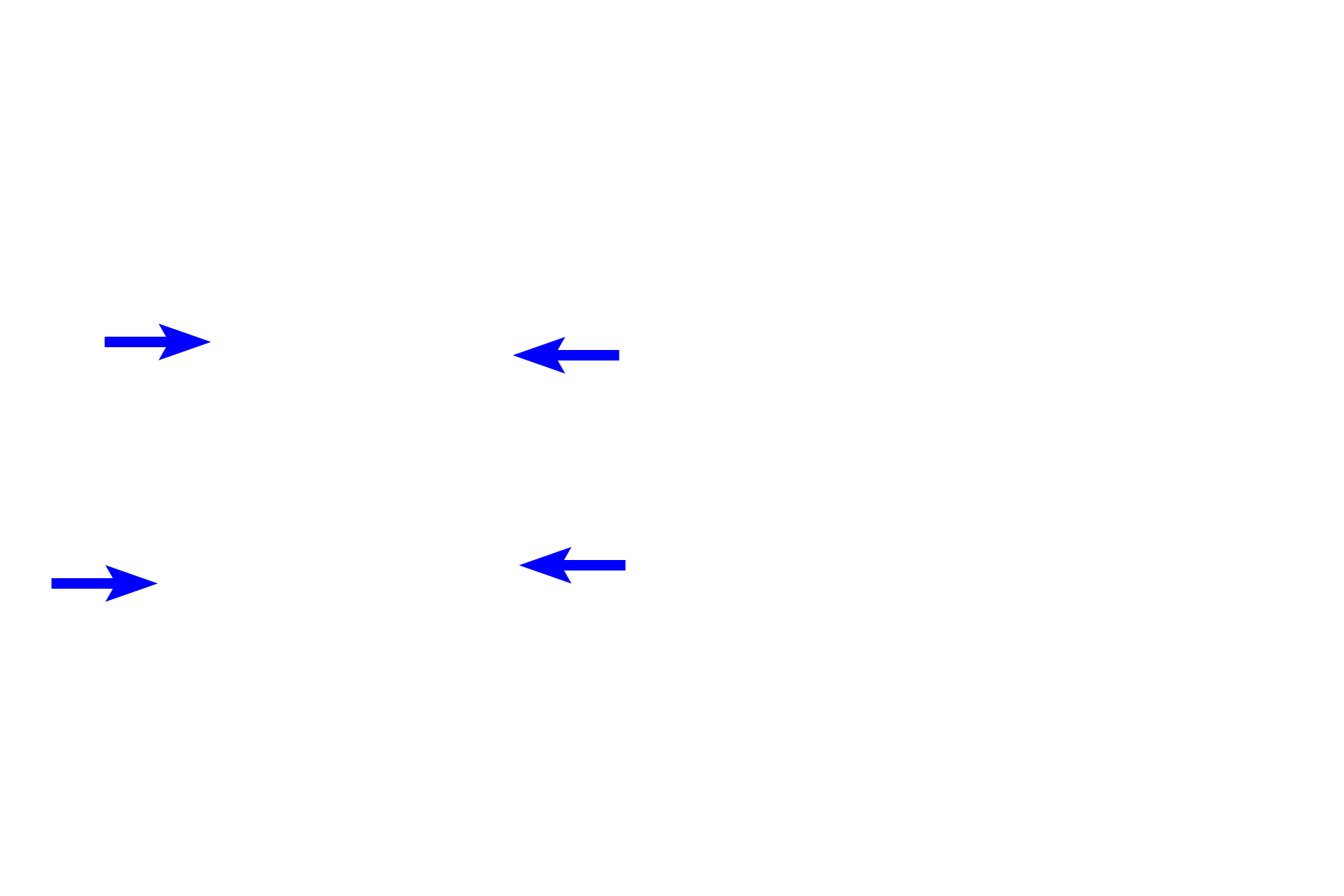  - Outer enamel epithelium >  <p>The outer enamel epithelium forms the outer surface of the enamel organ and consists of cuboidal ectodermal cells. </p>
