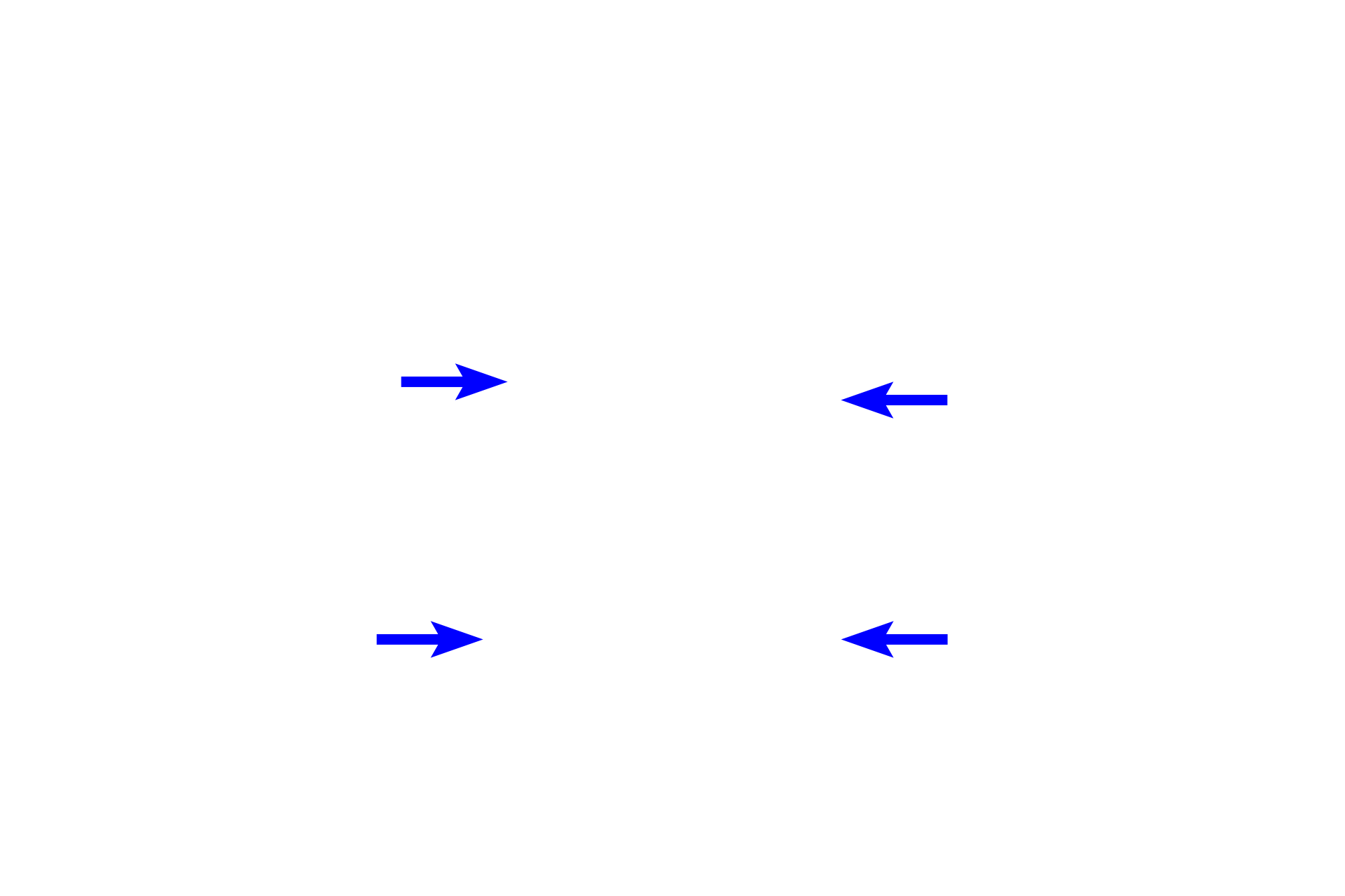  - Outer enamel epithelium <p>During the bell stage of tooth development, the enamel organ grows into a bell shape.  Cytodifferentiation of the stem cells in the enamel organ and dental papilla is progressing and the dental lamina begins to degenerate.  This is also the stage when the morphology of the tooth is determined (morphodifferentiation).  The successional lamina is not visible in this section.</p>
