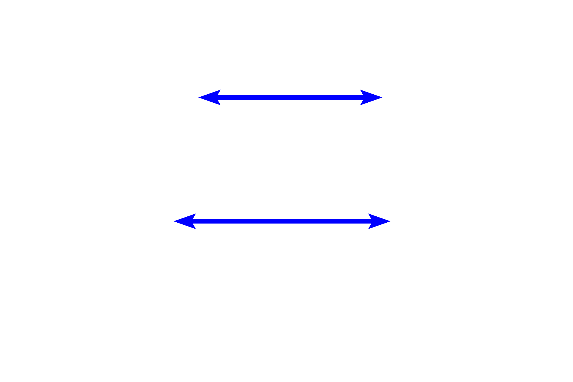 Tooth germ <p>During the bell stage, stem cells differentiate into their fully functional forms (cytodifferentiation).  The morphology of the tooth is also determined at this time (morphodifferentiation). The dental lamina degenerates while extending a successional lamina, that will produce permanent (successional) teeth.</p>
