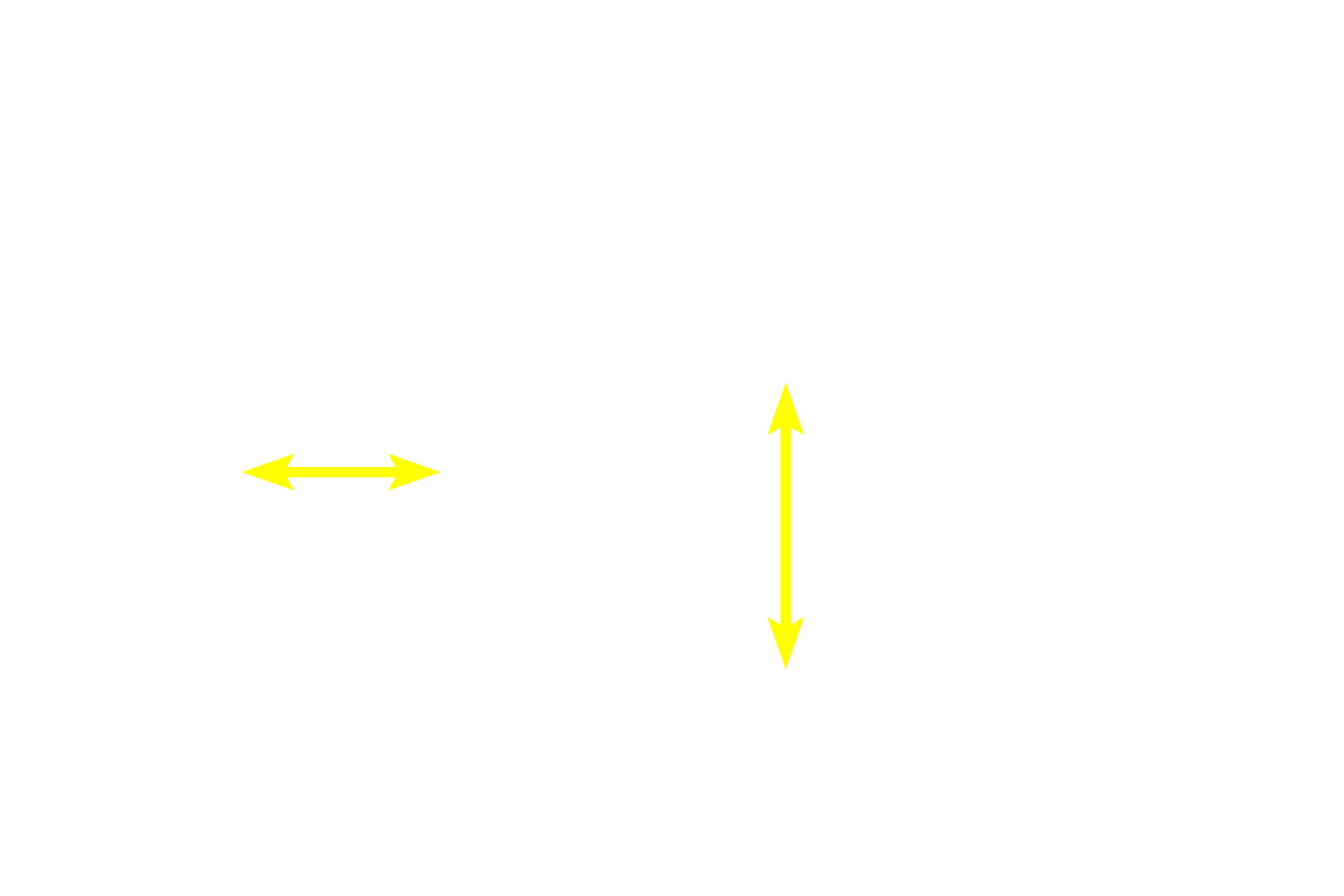 Mucosa <p>A trichrome stain of the mucosa and submucosa of the esophagus emphasizes the different tissues present. In this region the muscularis mucosae is incomplete, consisting of islands of smooth muscle, rather than a continuous layer. The longitudinal fold, with a core of submucosa, would flatten during expansion of the esophagus during food transport. 40x</p>