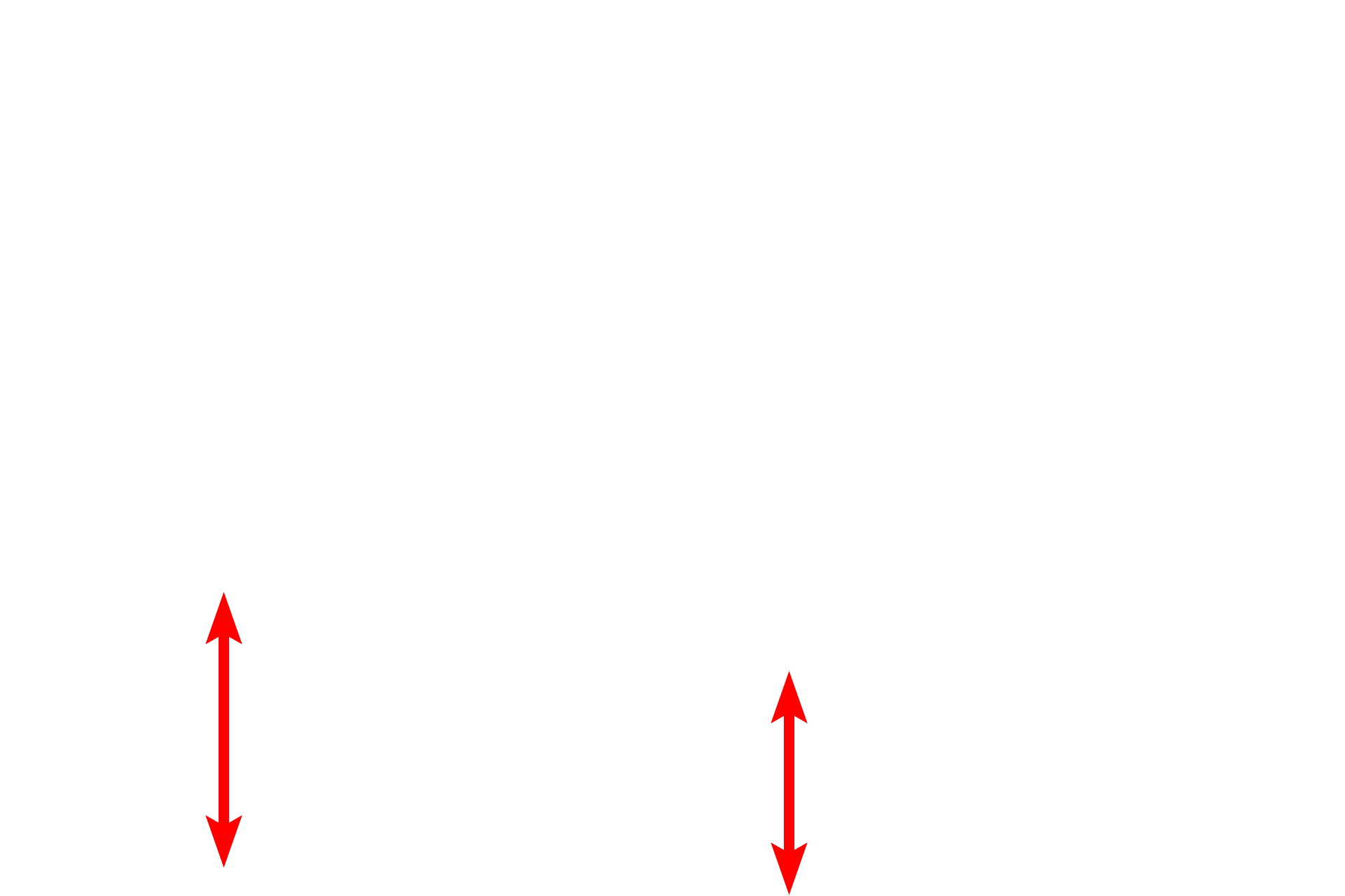 Submucosa <p>A trichrome stain of the mucosa and submucosa of the esophagus emphasizes the different tissues present. In this region the muscularis mucosae is incomplete, consisting of islands of smooth muscle, rather than a continuous layer. The longitudinal fold, with a core of submucosa, would flatten during expansion of the esophagus during food transport. 40x</p>
