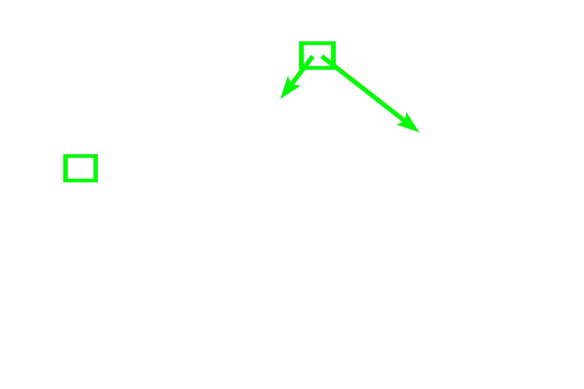 Orientation > <p>This composite image shows a long bone, the femur, together with two light micrographs taken from regions shown by the green boxes. The inset image shows an entire cross section through the bone at the levels of the box in the left image. The higher magnification micrographs show the outer surface of the bone (left) and inner surface (right).</p>