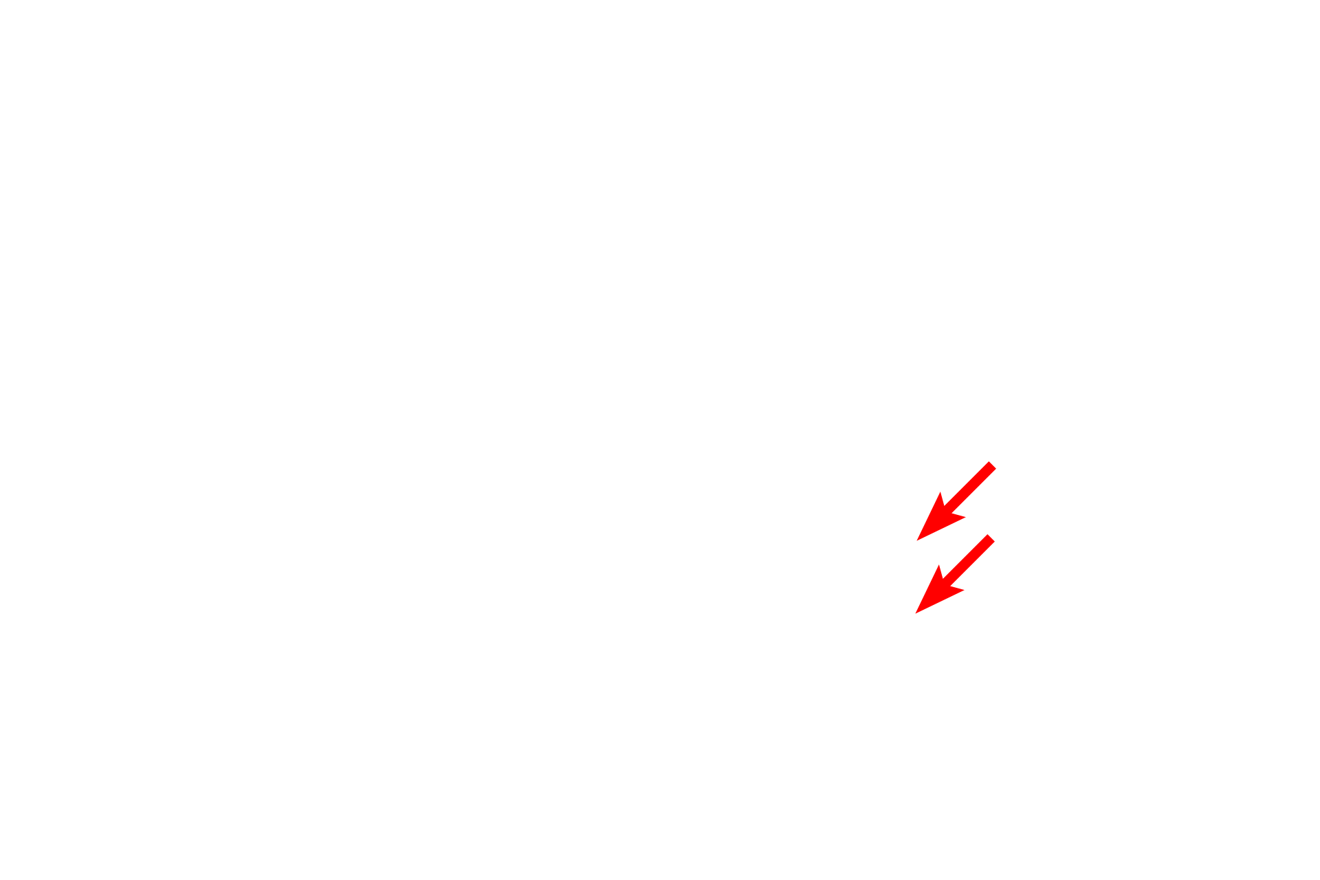 Short bones > <p>Short bones are roughly cube shaped and located in the wrist and ankle. Short bones provide support and stability and facilitate a limited range of movement.</p>