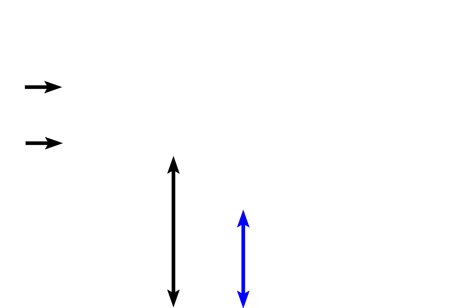 -- Concentric lamellae <p>Compact bone on the interior of the diaphysis is organized in concentric lamellae forming Haversian systems. Haversian systems are oriented parallel to the long axis of the bone to provide strength and rigidity.</p>