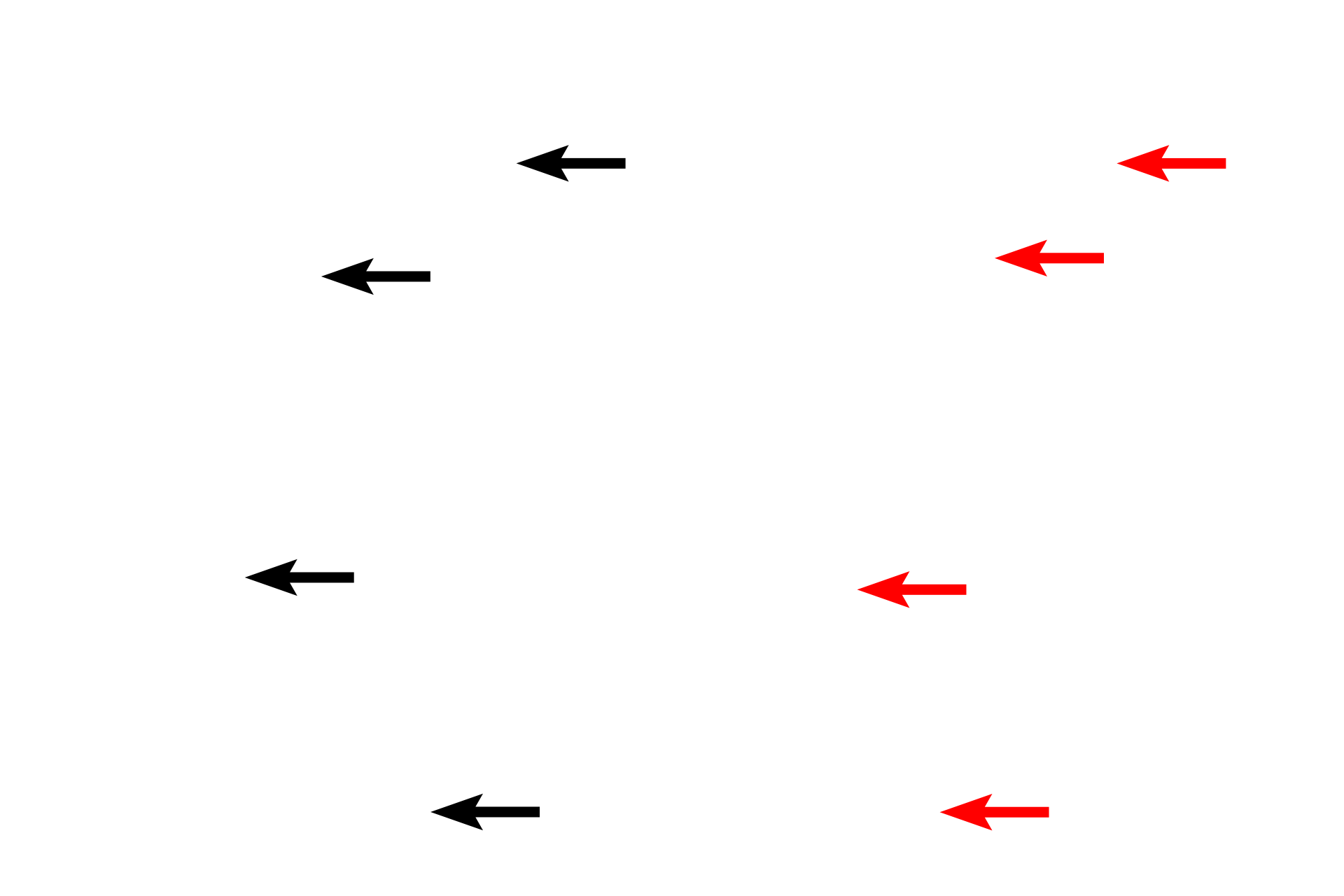 Matrix > <p>The matrix of mature bone is highly ordered, organized into sheets or lamellae. Lamellae on the inner and outer surfaces of a bone, are arranged as flattened plates. In other areas, lamellae are concentrically arranged into cylinders (Haversian systems) that surround a lumen. For both, osteocytes are located in lacunae between the lamellae. Lamellae are better visualized in the ground bone preparation. </p>