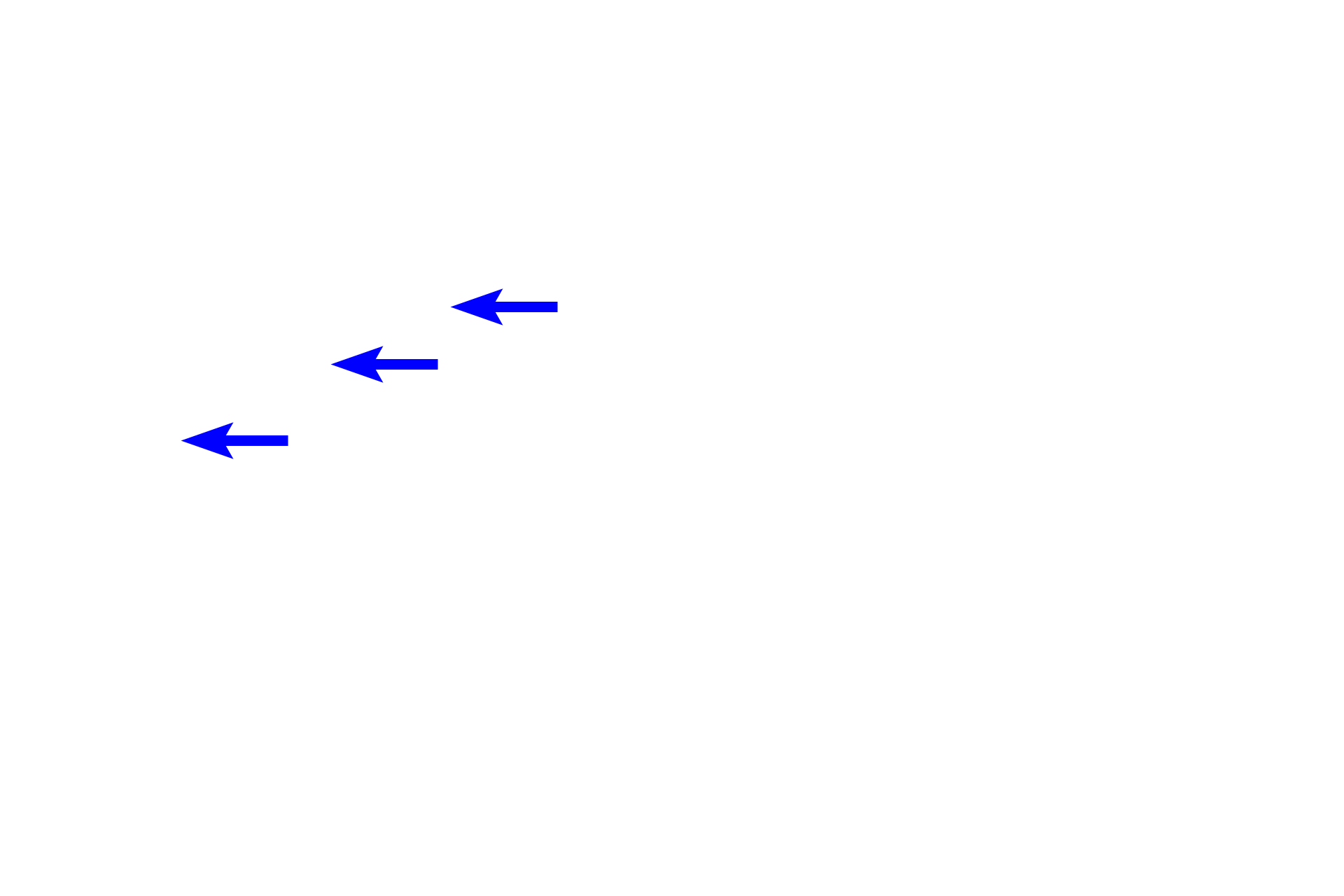 - Osteoid <p>Bone cells function to produce bone (osteoblasts), maintain bone (osteocytes) and degrade bone (osteoclasts). Each of these cells types is visible in this image of a developing bone spicule. 400x</p>