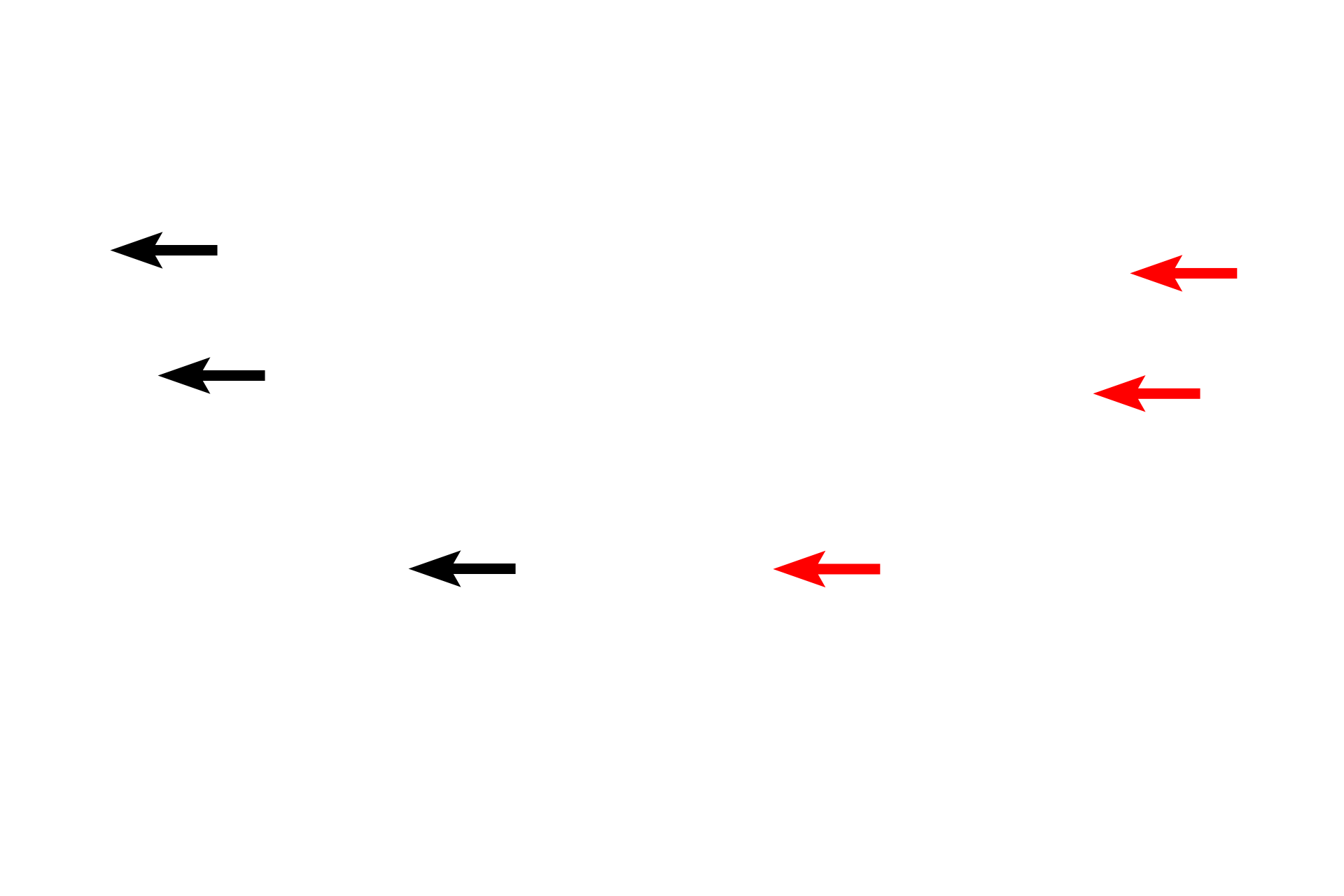 Osteocytes > <p>Osteocytes maintain the matrix and are located in small spaces in the matrix called lacunae. </p>
