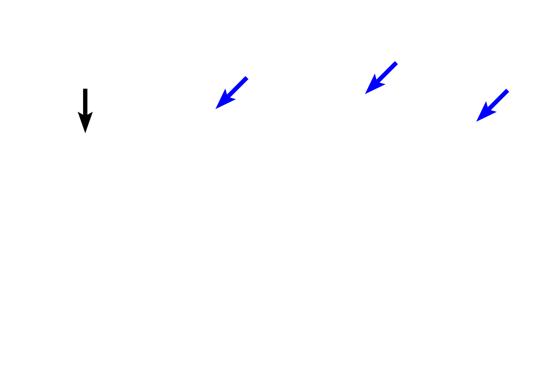 -- Bone lining cells <p>Periosteum covers the outer surface of bones, except over articular cartilages. The periosteum consists of an outer fibrous layer of dense connective tissue and an inner osteogenic layer. Bone-lining cells in the inner layer are capable of differentiating into bone forming osteoblasts. This osteogenic layer varies considerably depending on its functional state, reflecting regions of relative inactivity, bone deposition, or bone resorption and remodeling. The periosteum is well vascularized and innervated.</p>