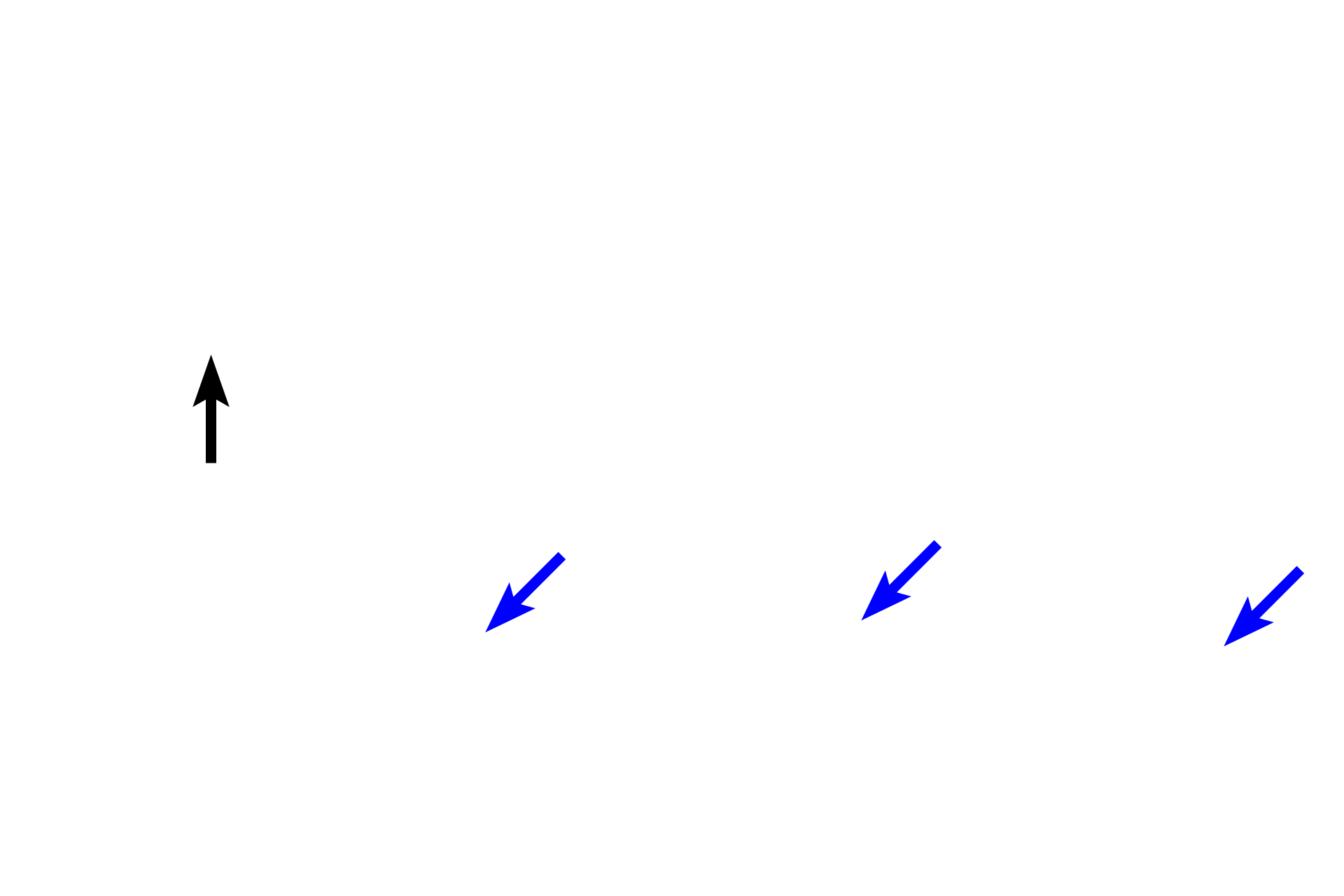 - Bone lining cells <p>The endosteum consists of single layer of bone lining cells that covers all internal bone surfaces (including spicules of spongy bone), and extends into Haversian and Volkmann’s canals. In non-active regions, these cells are squamous-shaped and include osteoprogenitor cells. In areas of active bone deposition, cuboidal osteoblasts are present; areas of bone resorption are marked by the presence of osteoclasts.</p>