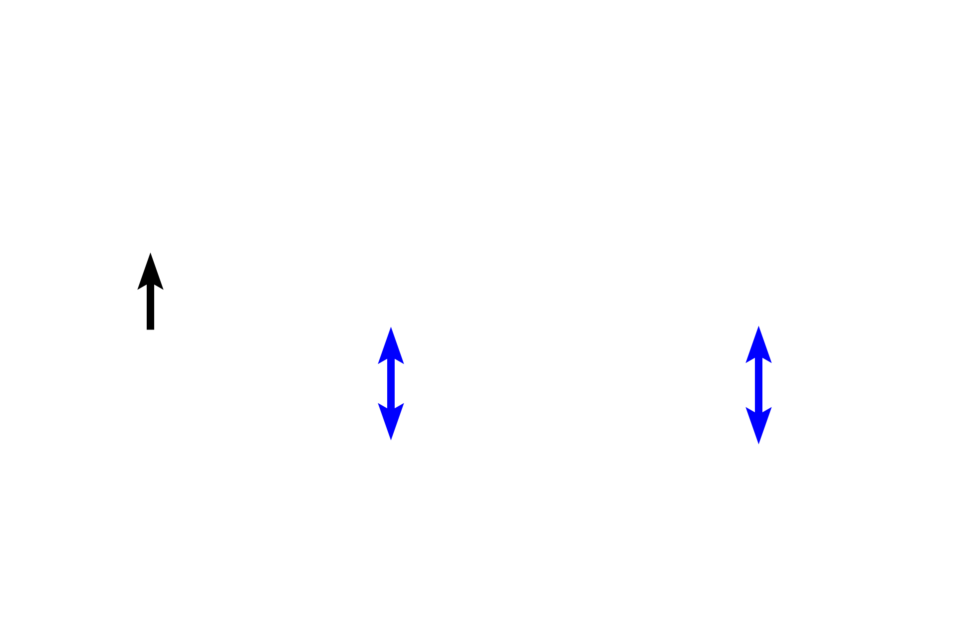 Compact bone <p>The endosteum consists of single layer of bone lining cells that covers all internal bone surfaces (including spicules of spongy bone), and extends into Haversian and Volkmann’s canals. In non-active regions, these cells are squamous-shaped and include osteoprogenitor cells. In areas of active bone deposition, cuboidal osteoblasts are present; areas of bone resorption are marked by the presence of osteoclasts.</p>