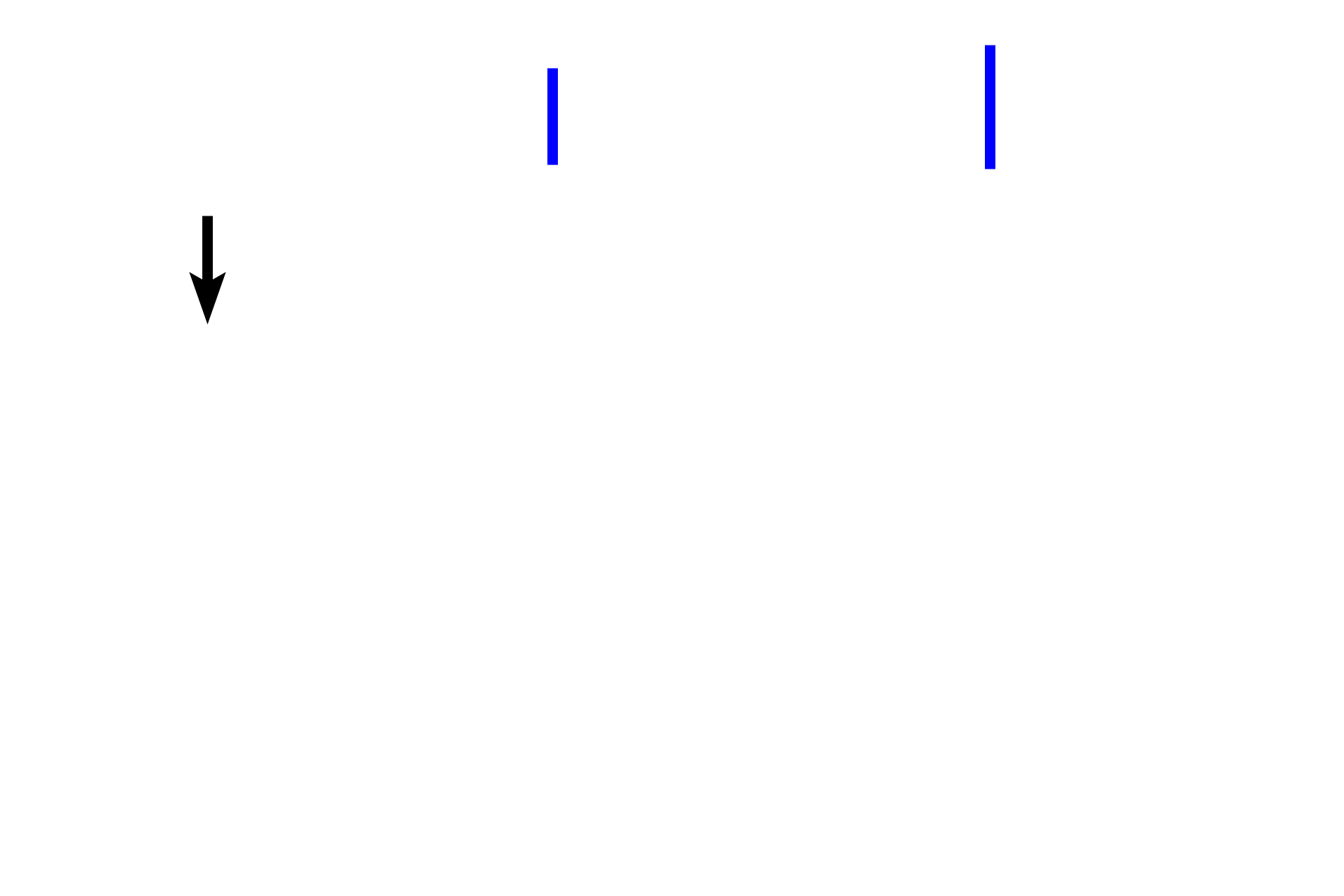 - Fibrous layer <p>Periosteum covers the outer surface of bones, except over articular cartilages. The periosteum consists of an outer fibrous layer of dense connective tissue and an inner osteogenic layer. Bone-lining cells in the inner layer are capable of differentiating into bone forming osteoblasts. This osteogenic layer varies considerably depending on its functional state, reflecting regions of relative inactivity, bone deposition, or bone resorption and remodeling. The periosteum is well vascularized and innervated.</p>