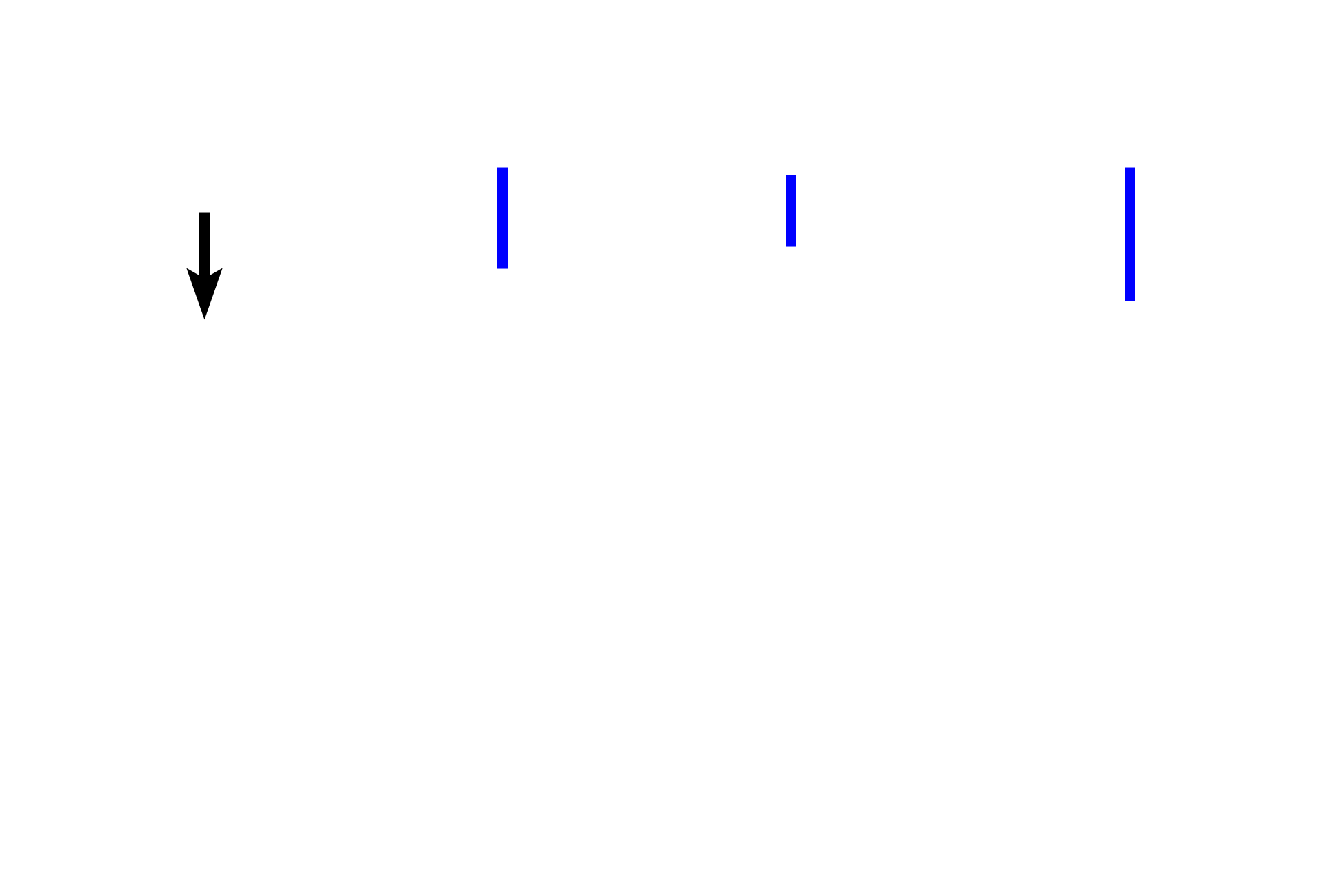 - Osteogenic layer <p>Periosteum covers the outer surface of bones, except over articular cartilages. The periosteum consists of an outer fibrous layer of dense connective tissue and an inner osteogenic layer. Bone-lining cells in the inner layer are capable of differentiating into bone forming osteoblasts. This osteogenic layer varies considerably depending on its functional state, reflecting regions of relative inactivity, bone deposition, or bone resorption and remodeling. The periosteum is well vascularized and innervated.</p>