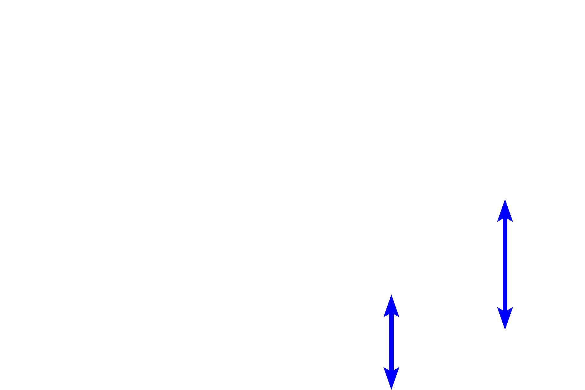 Red marrow <p>Spongy bone is seen in a dried preparation (left and above right) and in a histological preparation of decalcified bone (below right). Spongy (cancellous) bone, located in the interior of bones, is present in the epiphyses and metaphyses as well as forming a thin lining around the interior of compact bone in the diaphysis. To the naked eye, spongy bone looks like a sponge, consisting of a network of bony spicules or trabeculae, enclosing small spaces containing red marrow. 1x (left), 10x (top right), 100x (bottom right).</p>