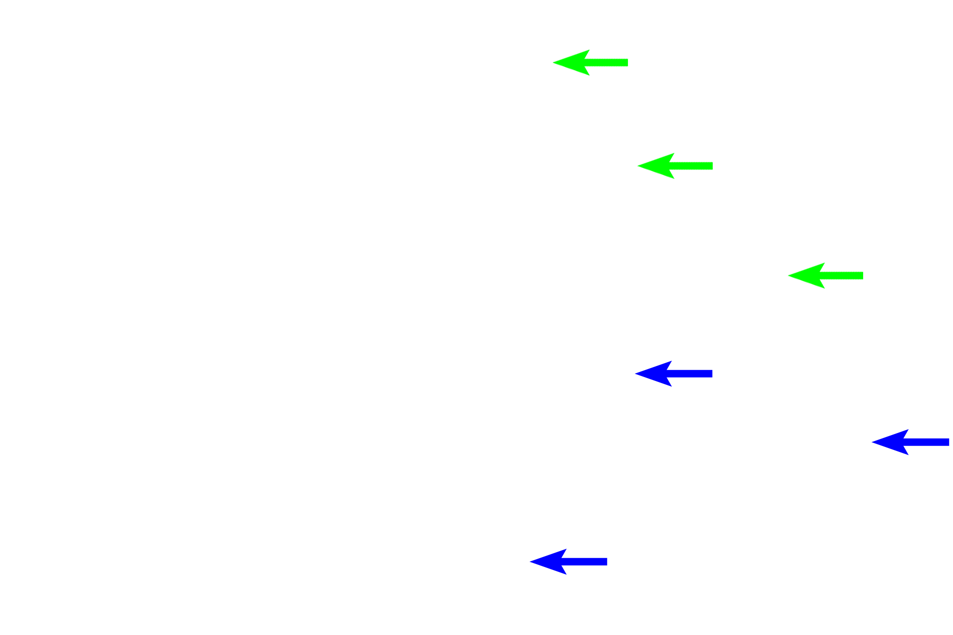 Spicules <p>Spongy bone is seen in a dried preparation (left and above right) and in a histological preparation of decalcified bone (below right). Spongy (cancellous) bone, located in the interior of bones, is present in the epiphyses and metaphyses as well as forming a thin lining around the interior of compact bone in the diaphysis. To the naked eye, spongy bone looks like a sponge, consisting of a network of bony spicules or trabeculae, enclosing small spaces containing red marrow. 1x (left), 10x (top right), 100x (bottom right).</p>